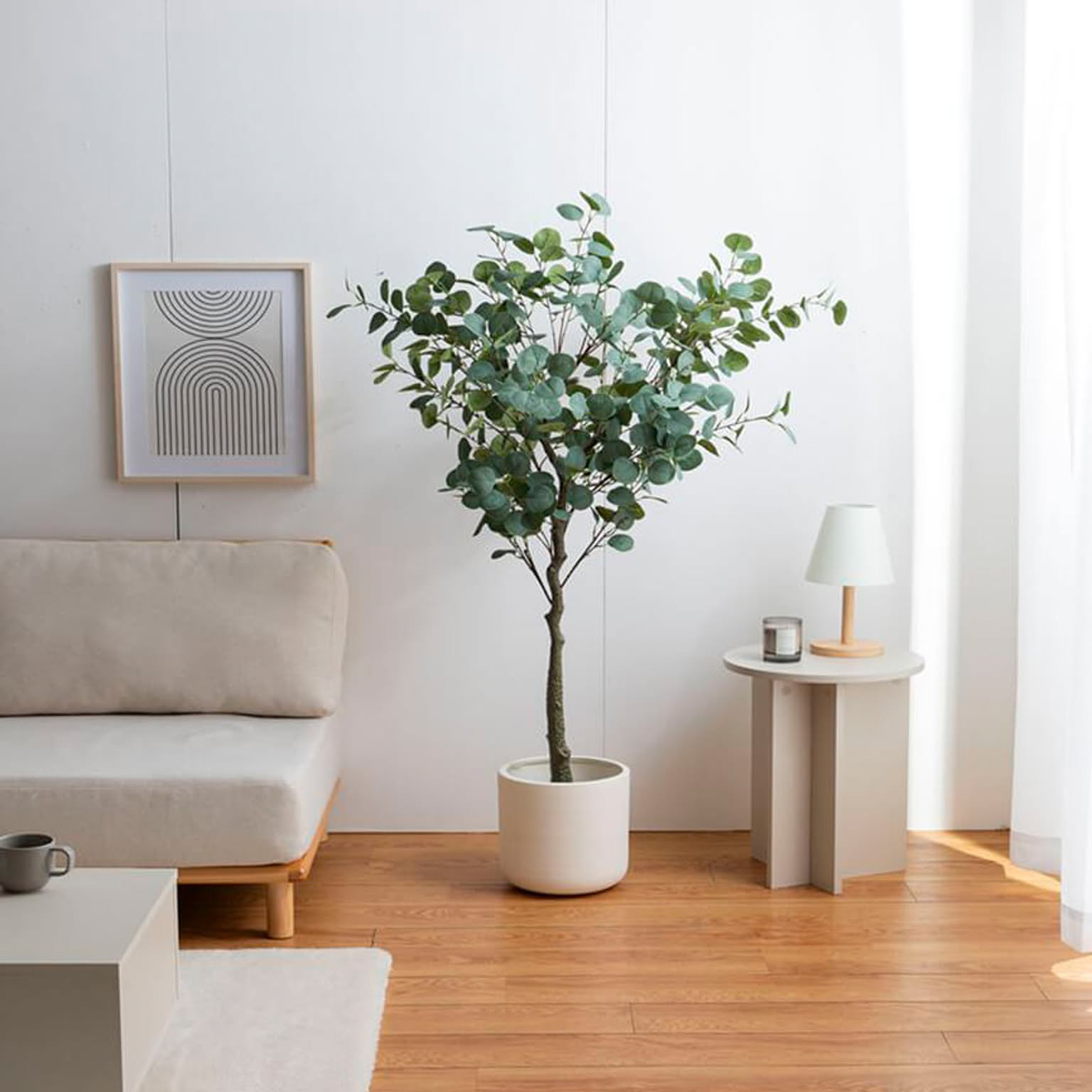 観葉植物