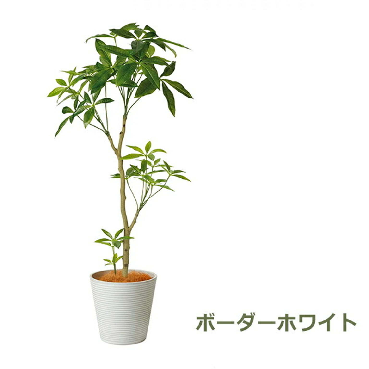 フェイクグリーン