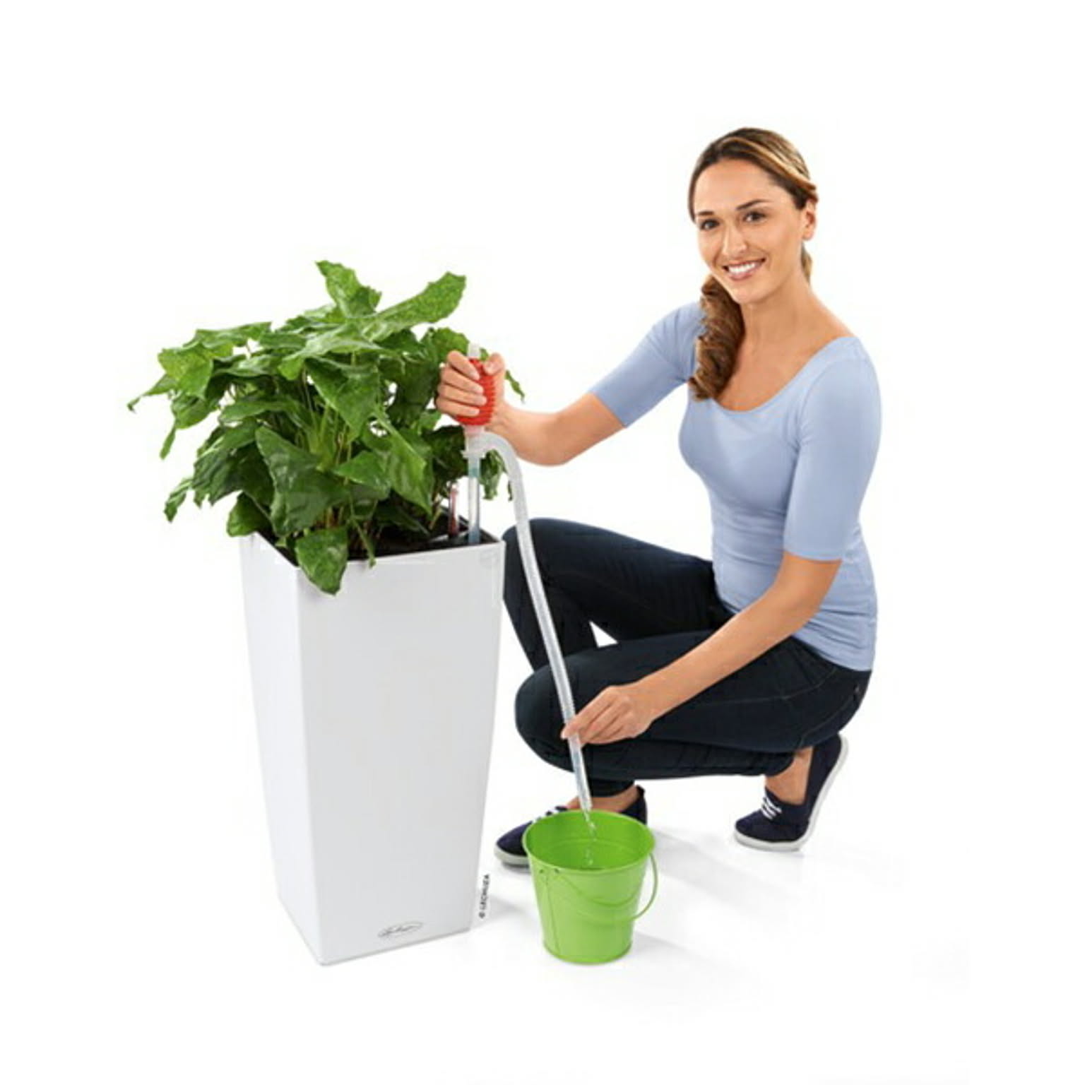プランター・植木鉢