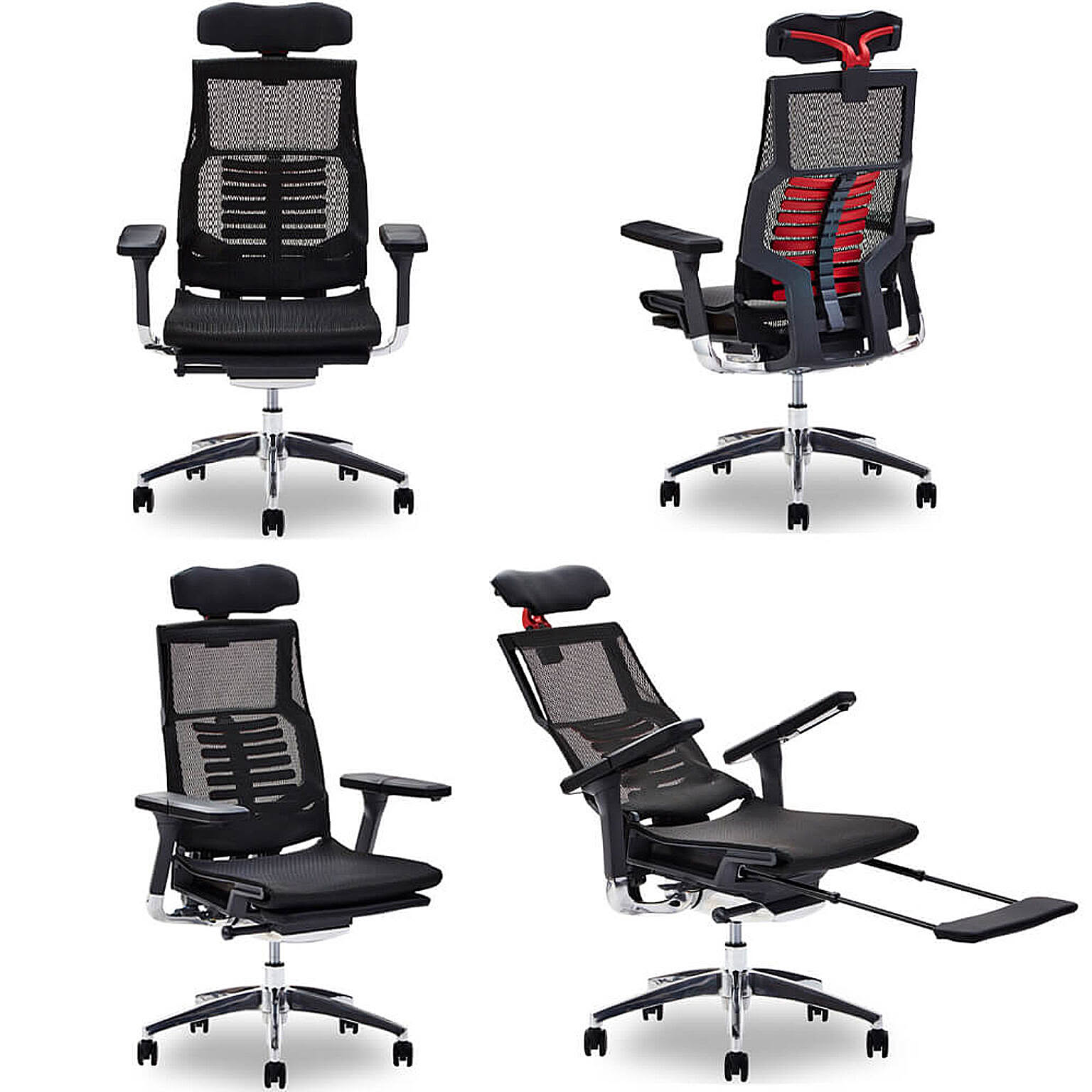 Ergohuman wincase 2025