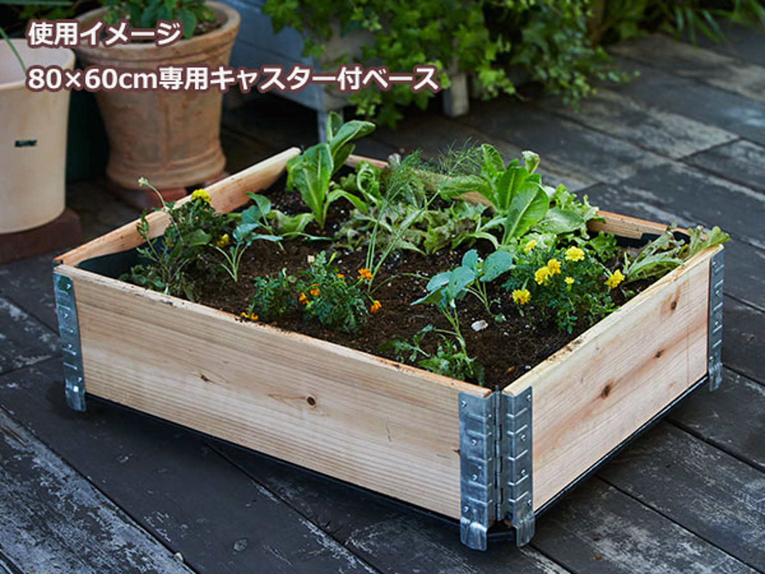 プランター・植木鉢