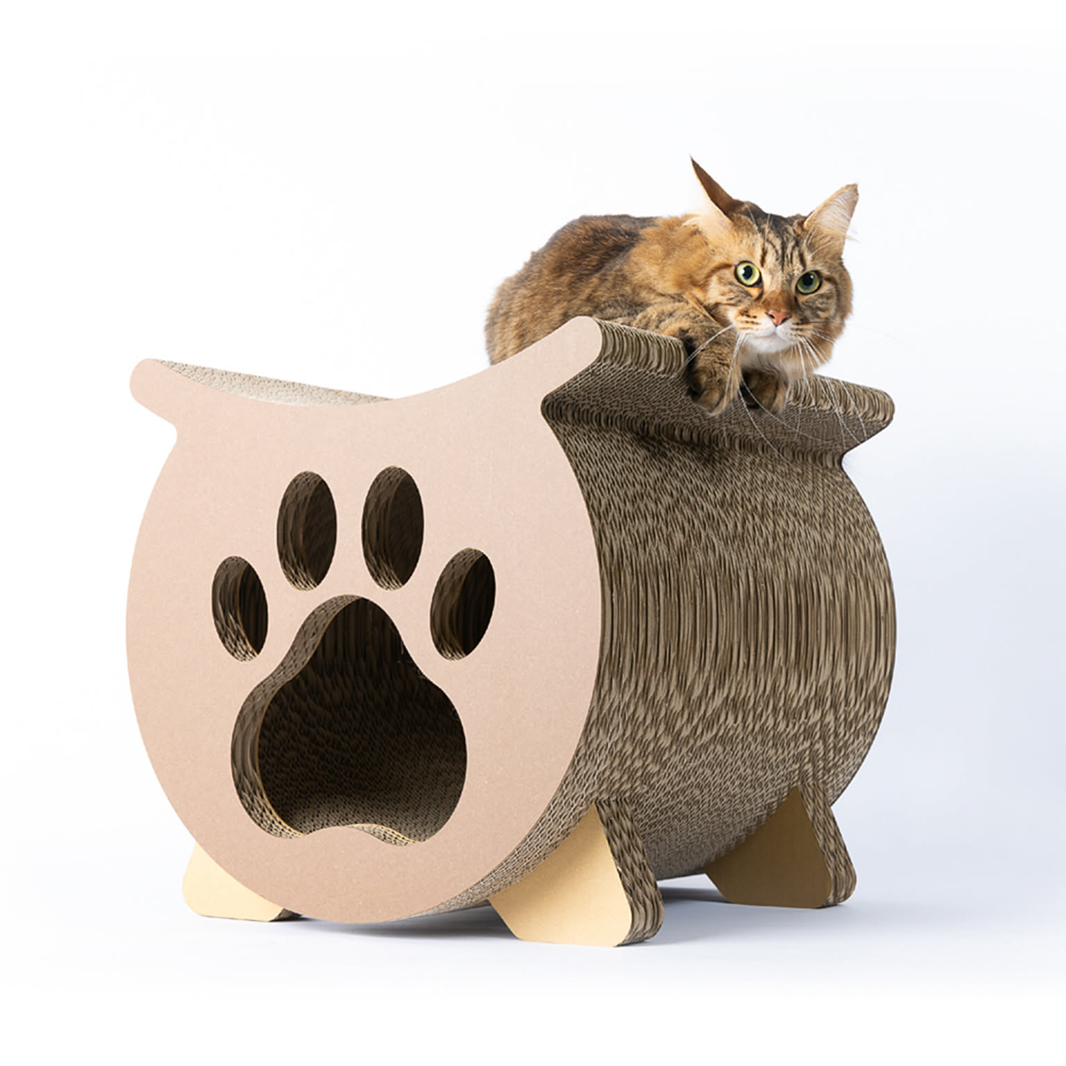 猫用インテリア・猫用家具