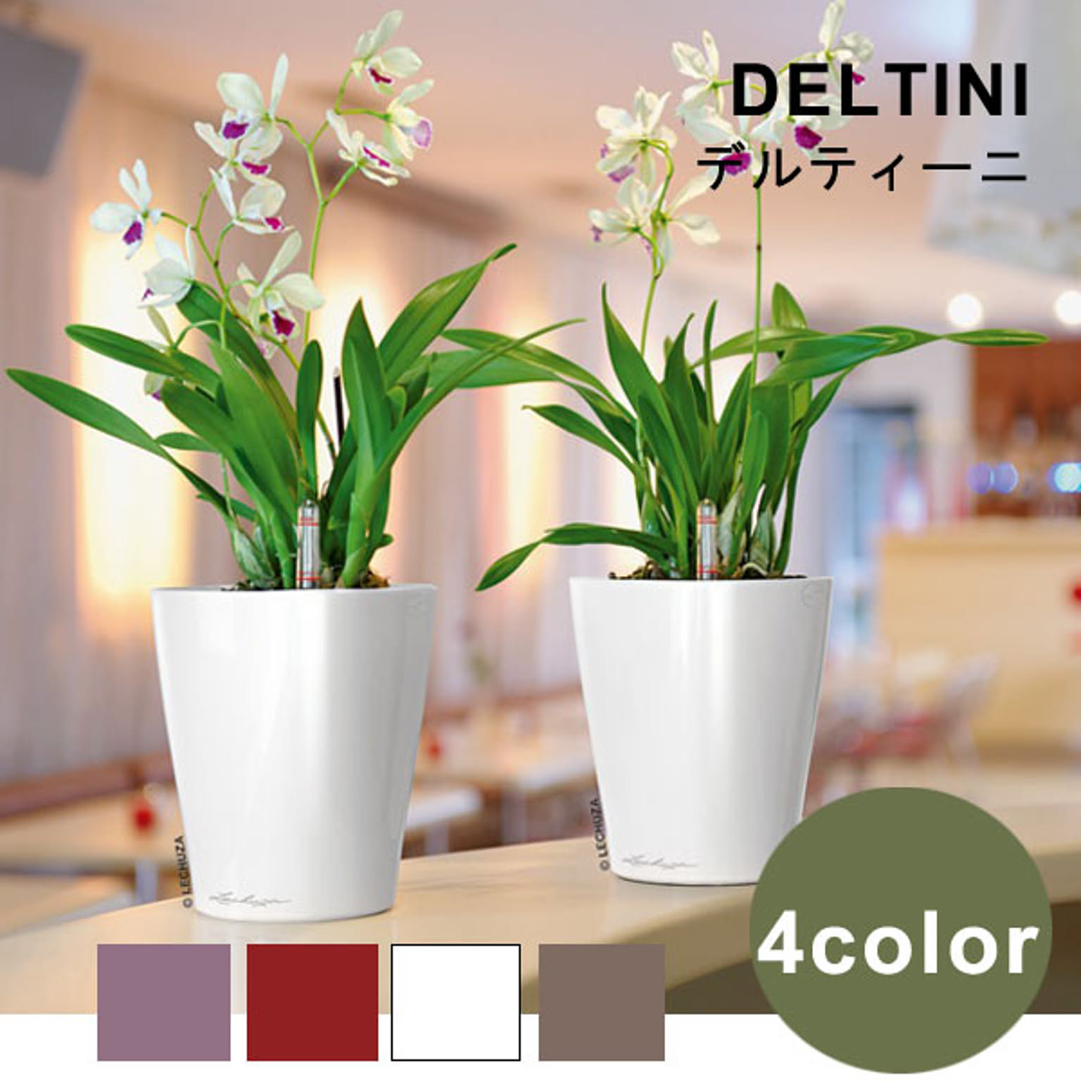 プランター・植木鉢