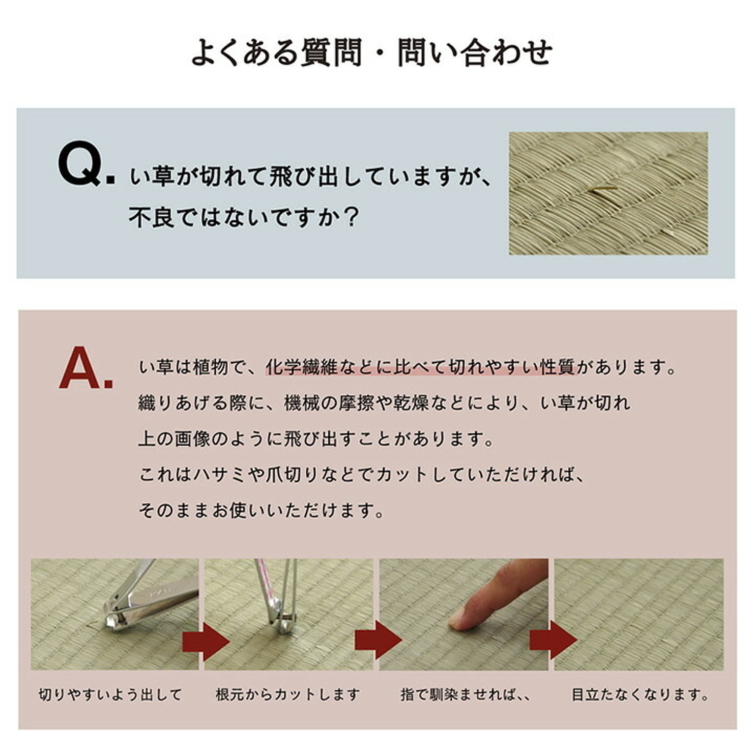 ござ・い草ラグ