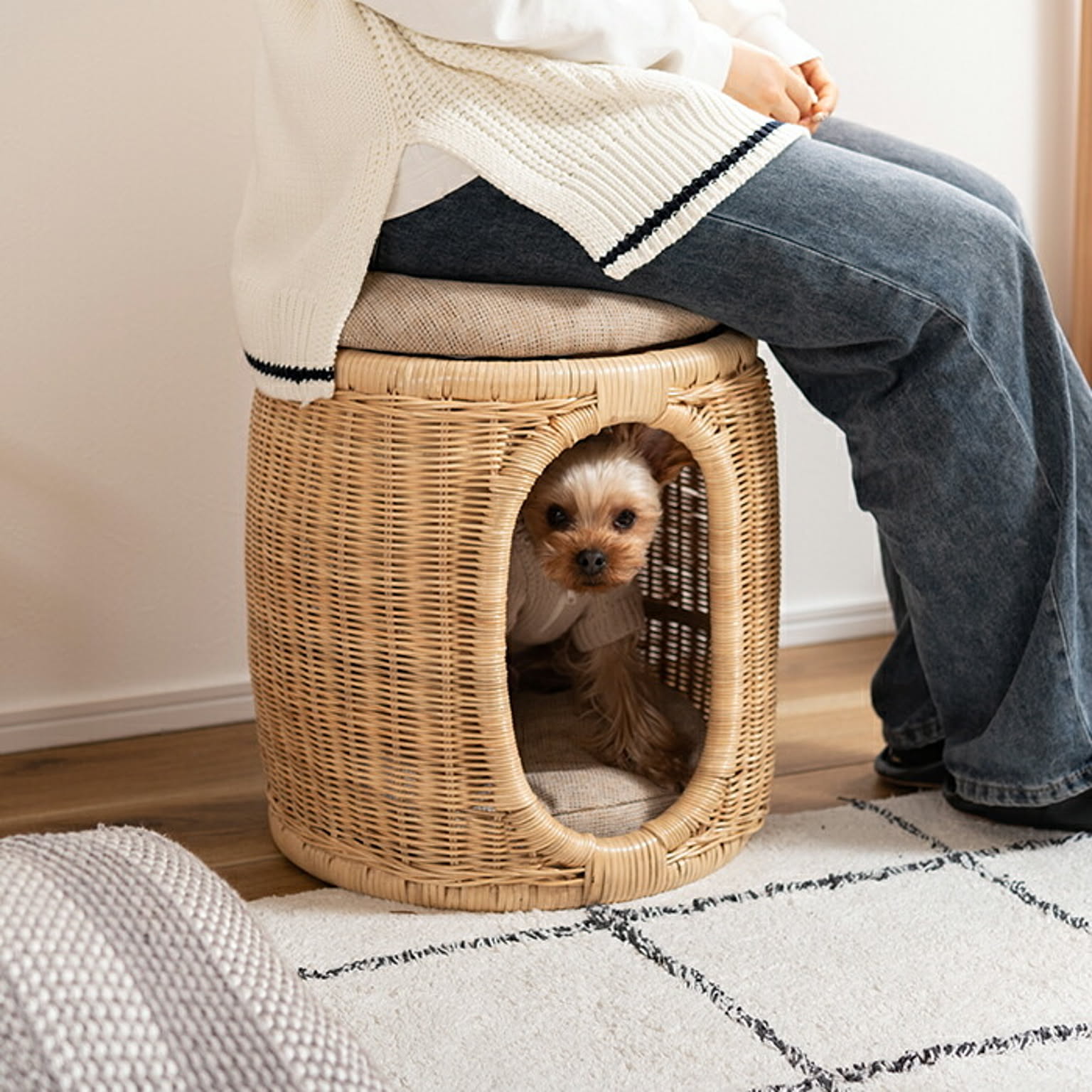 犬用インテリア・犬用家具