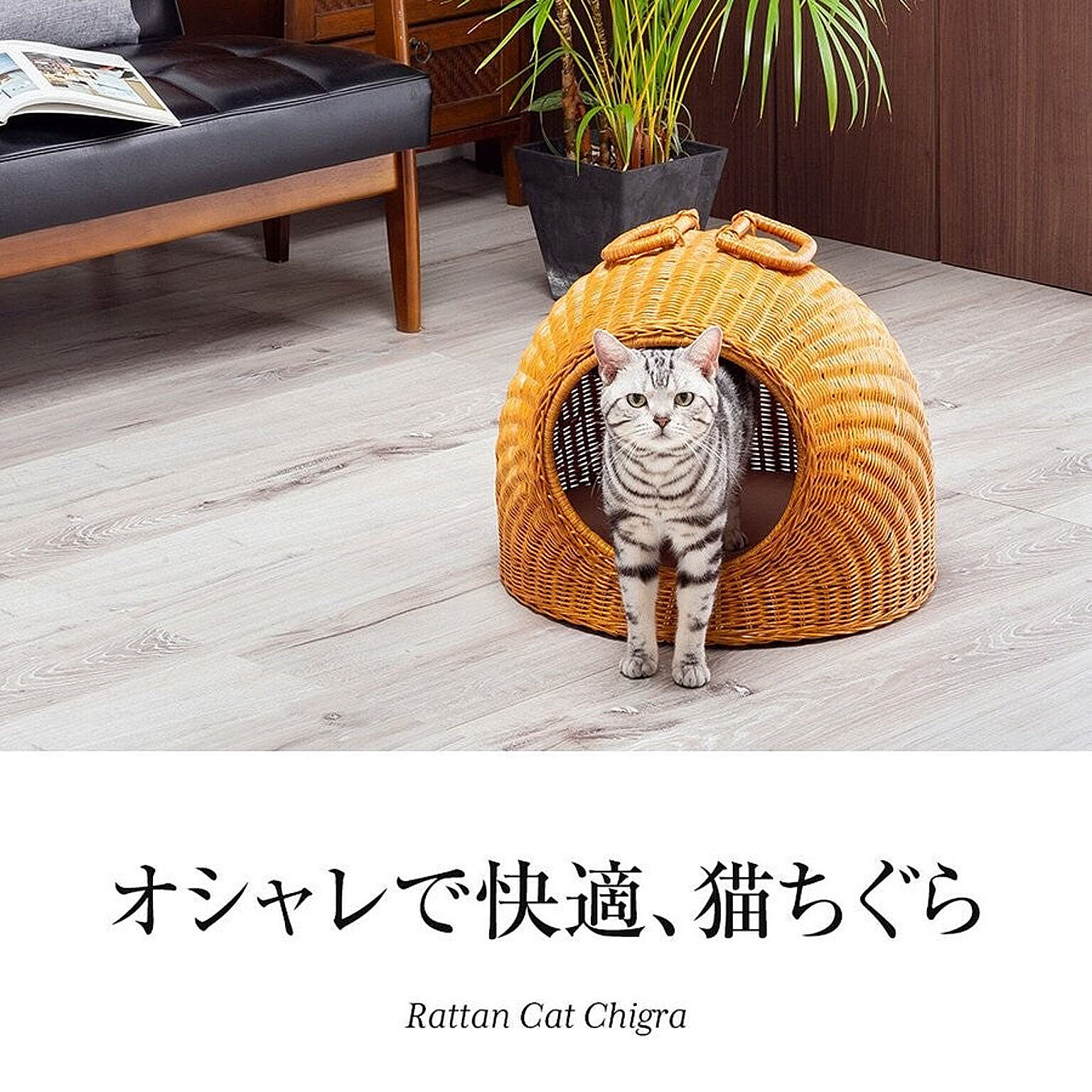 猫用インテリア・猫用家具