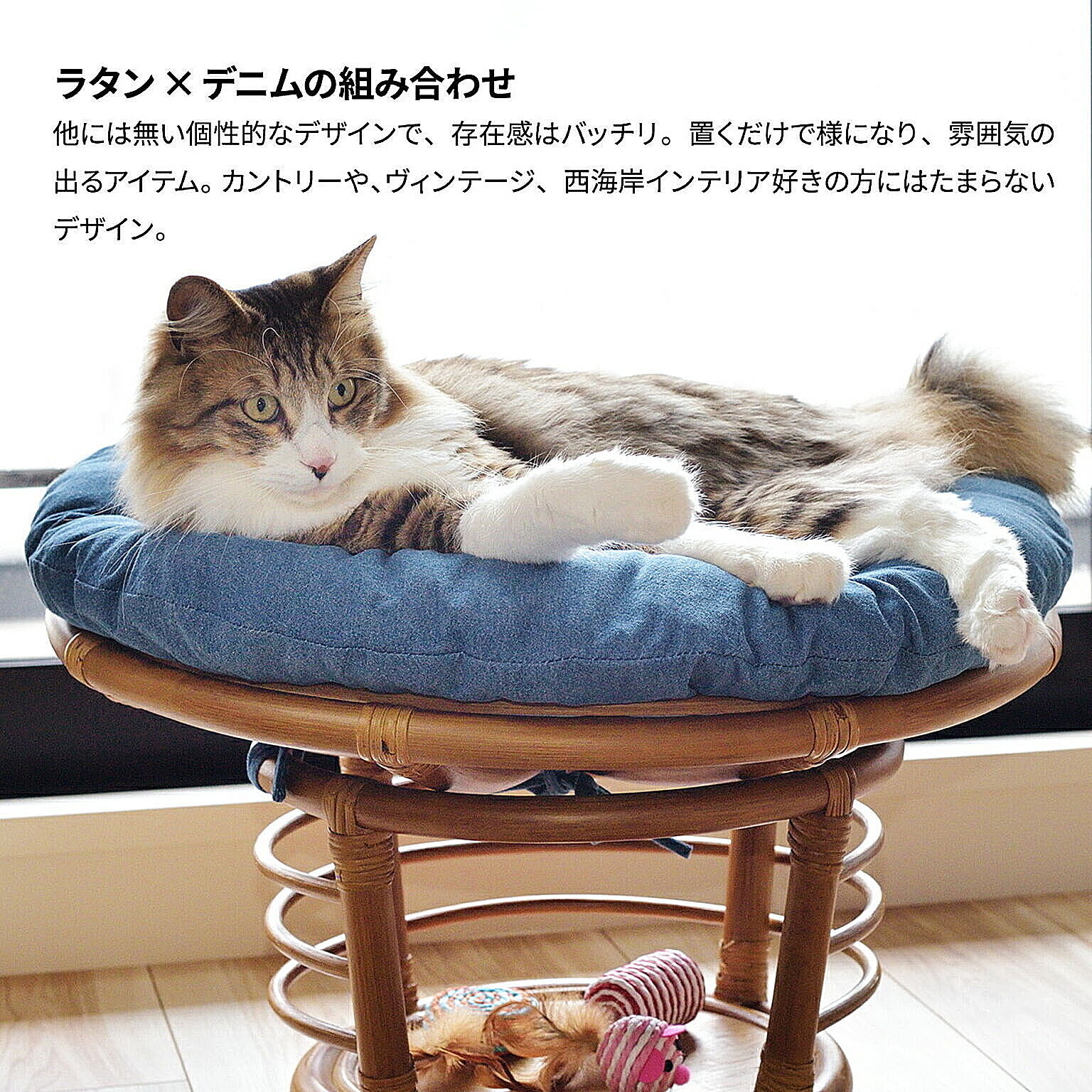 犬用インテリア・犬用家具