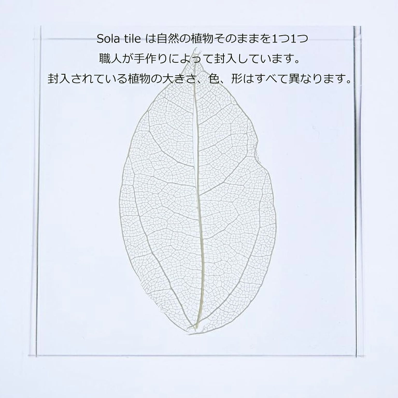 置物・オブジェ