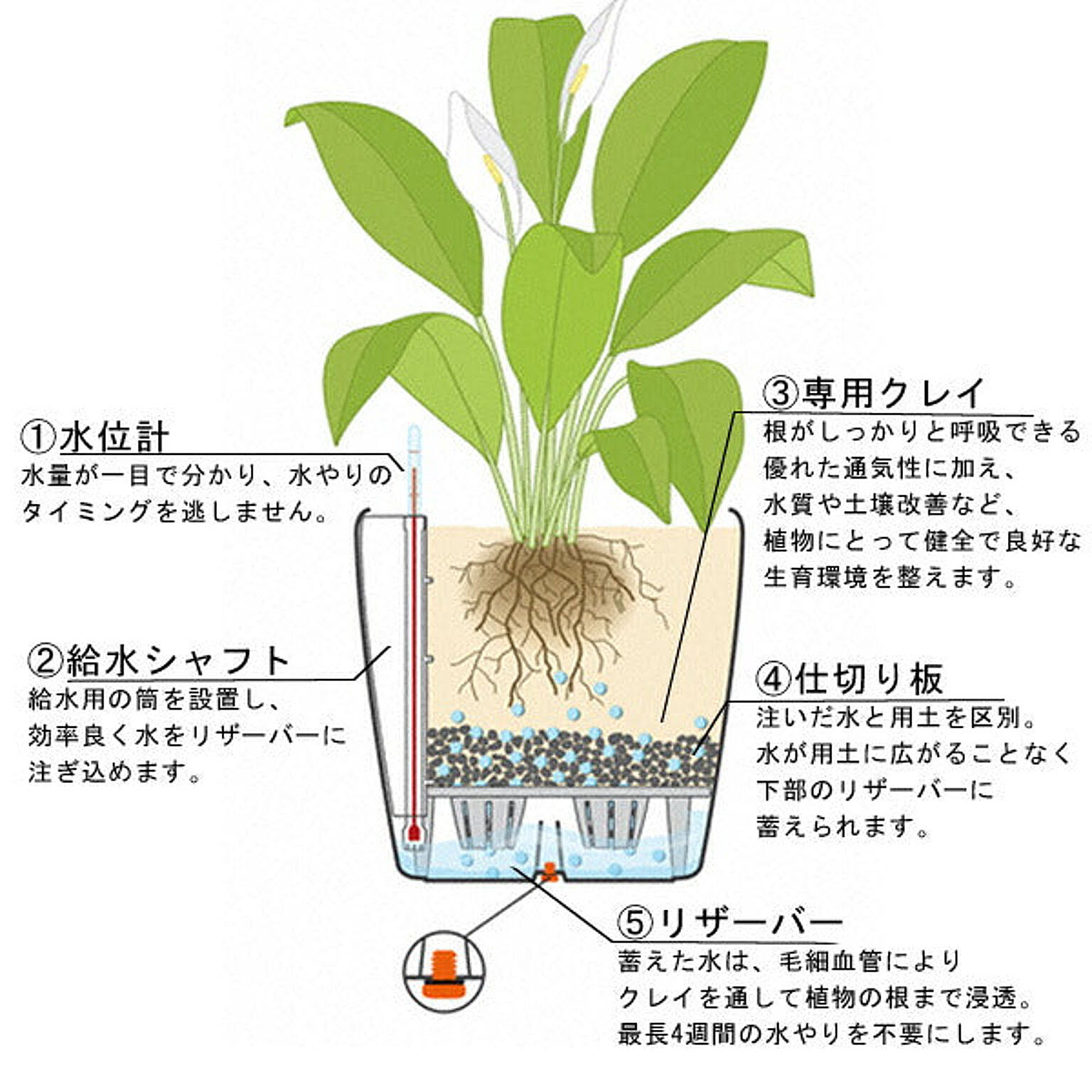 プランター・植木鉢