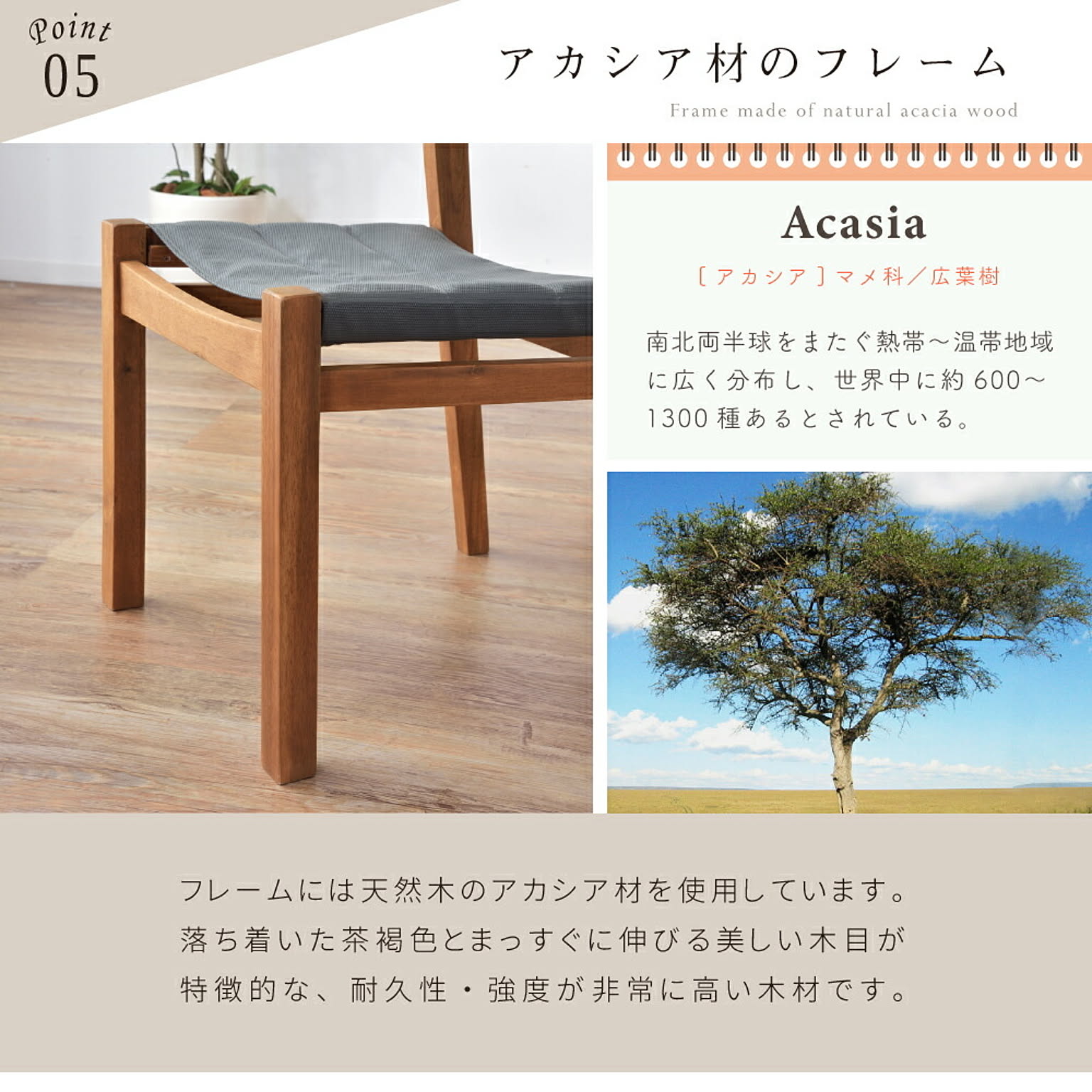 ダイニングチェア