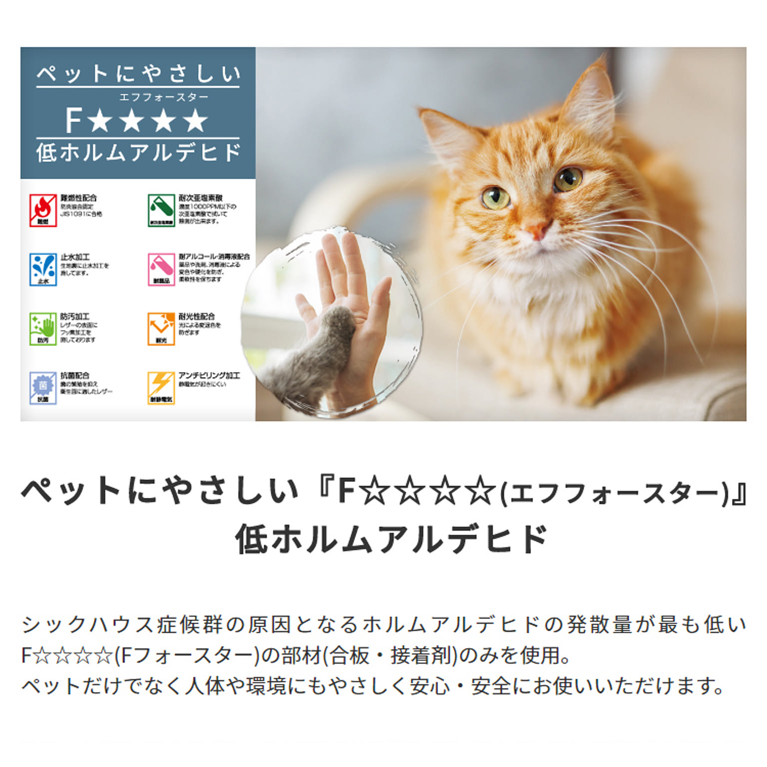 犬用インテリア・犬用家具