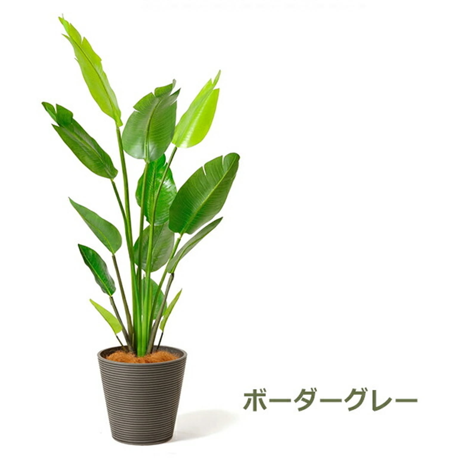 フェイクグリーン