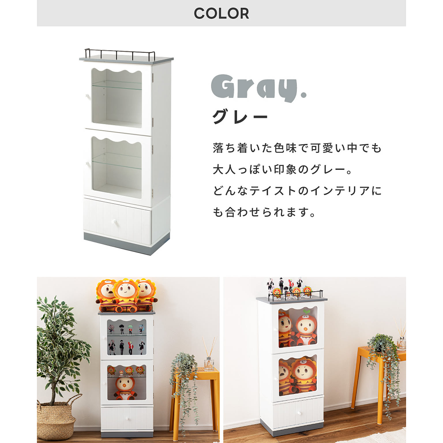 コレクションケース