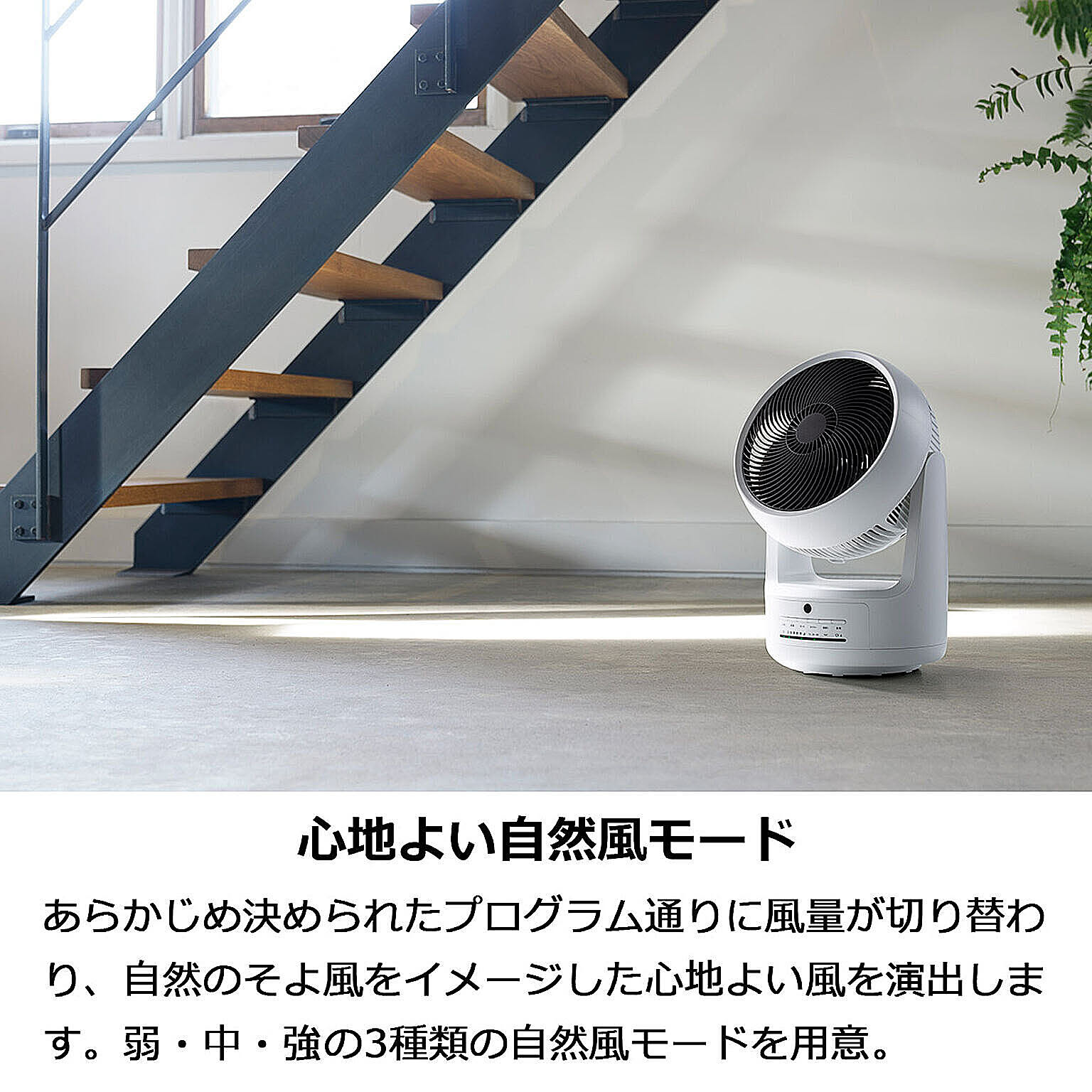サーキュレーター