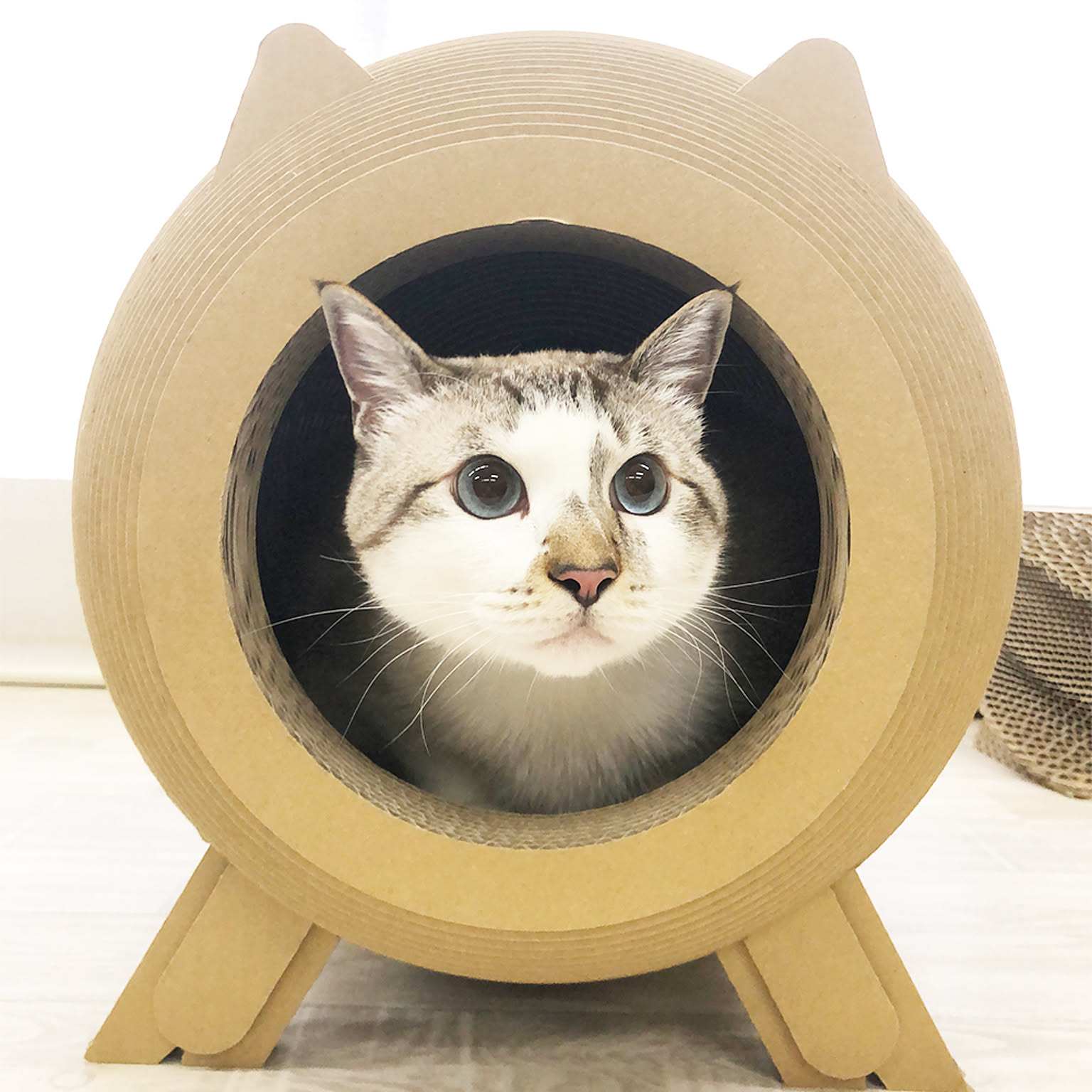 猫用インテリア・猫用家具