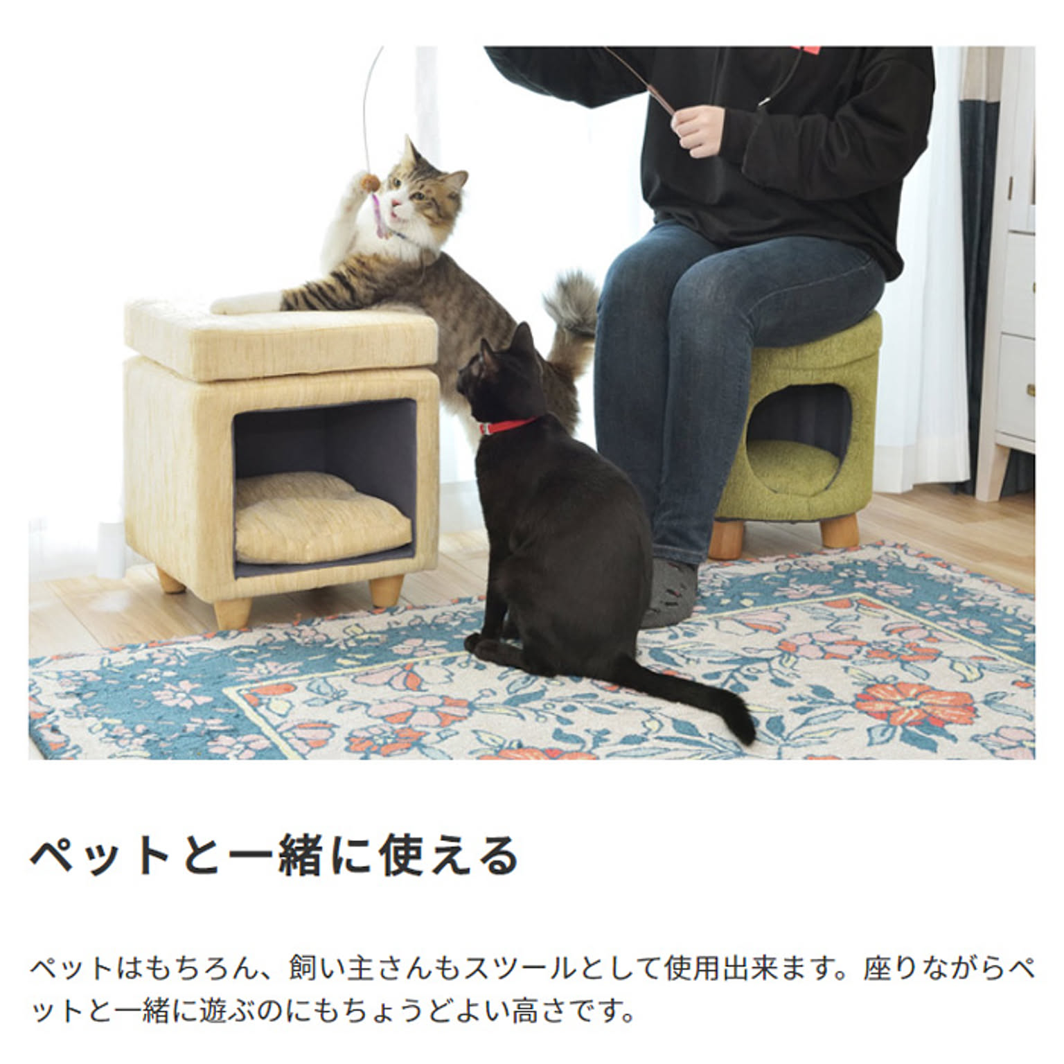 犬用インテリア・犬用家具