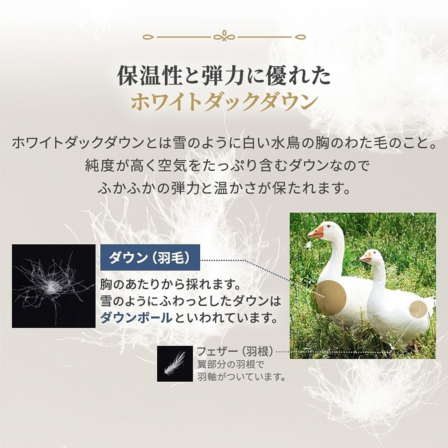 掛け布団