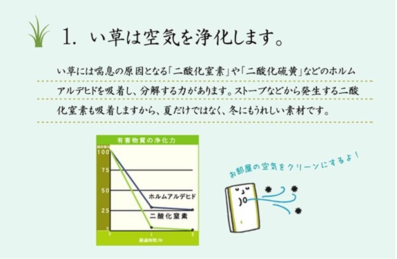 ござ・い草ラグ