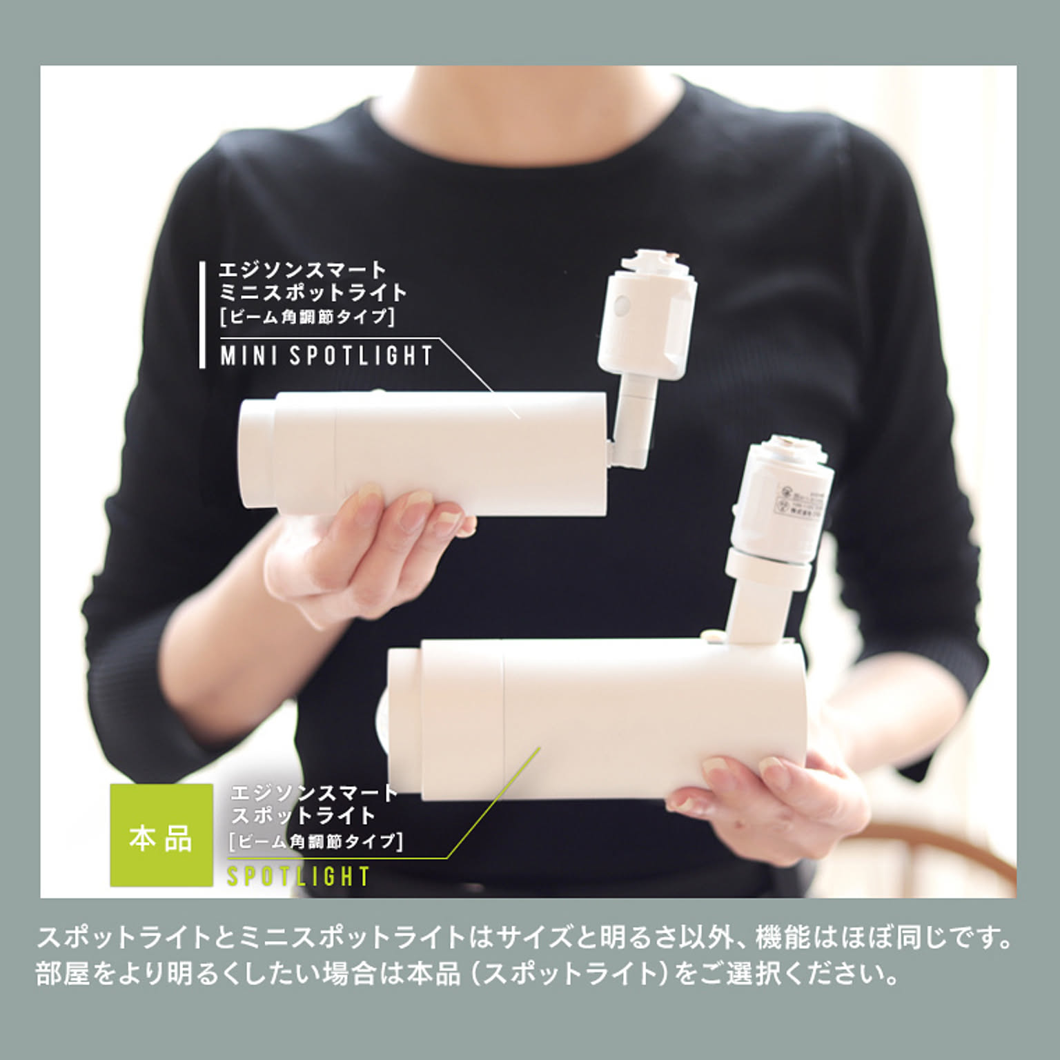 スポットライト