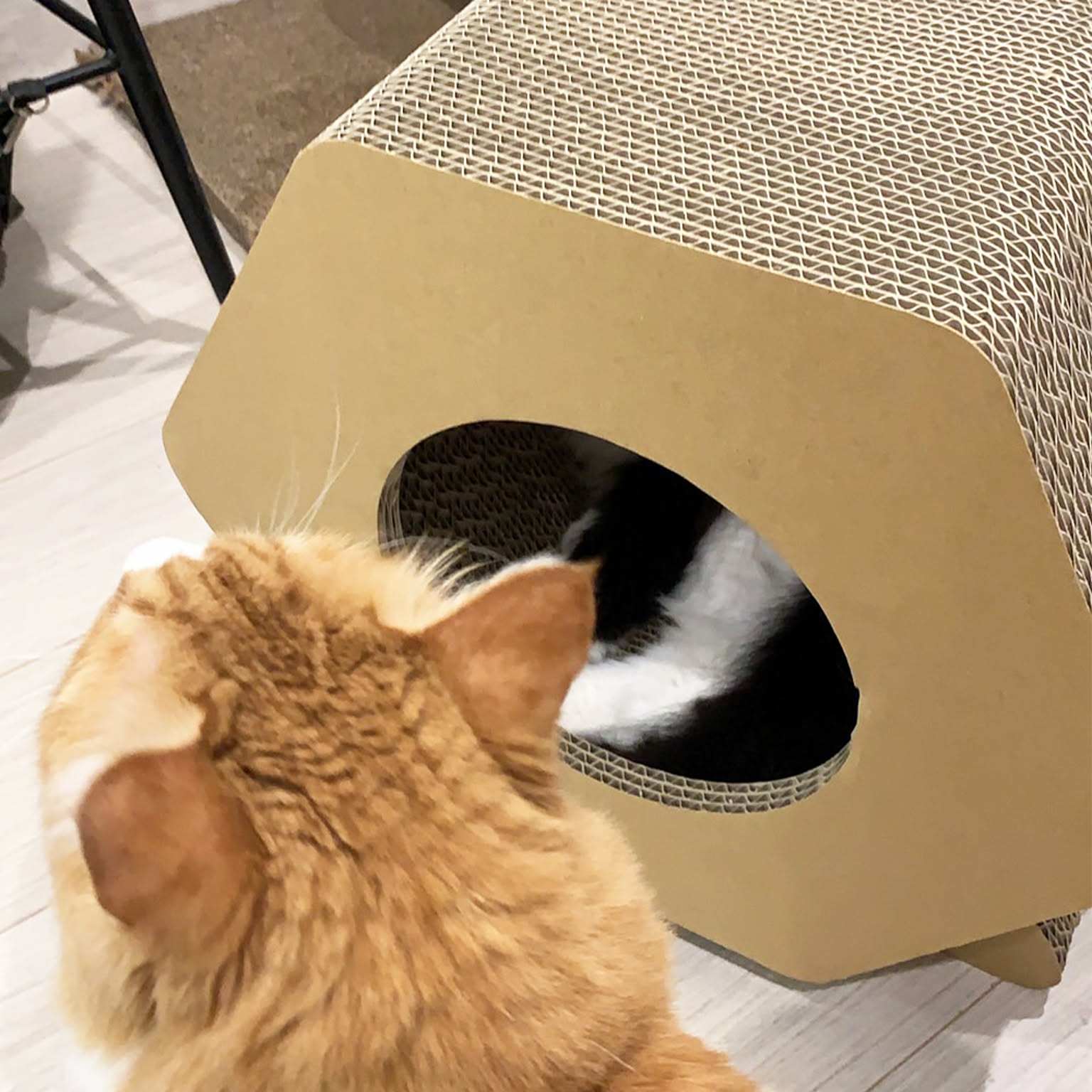 猫用インテリア・猫用家具