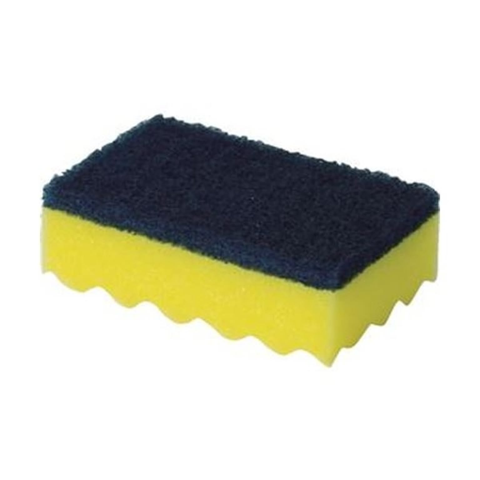 スポンジ