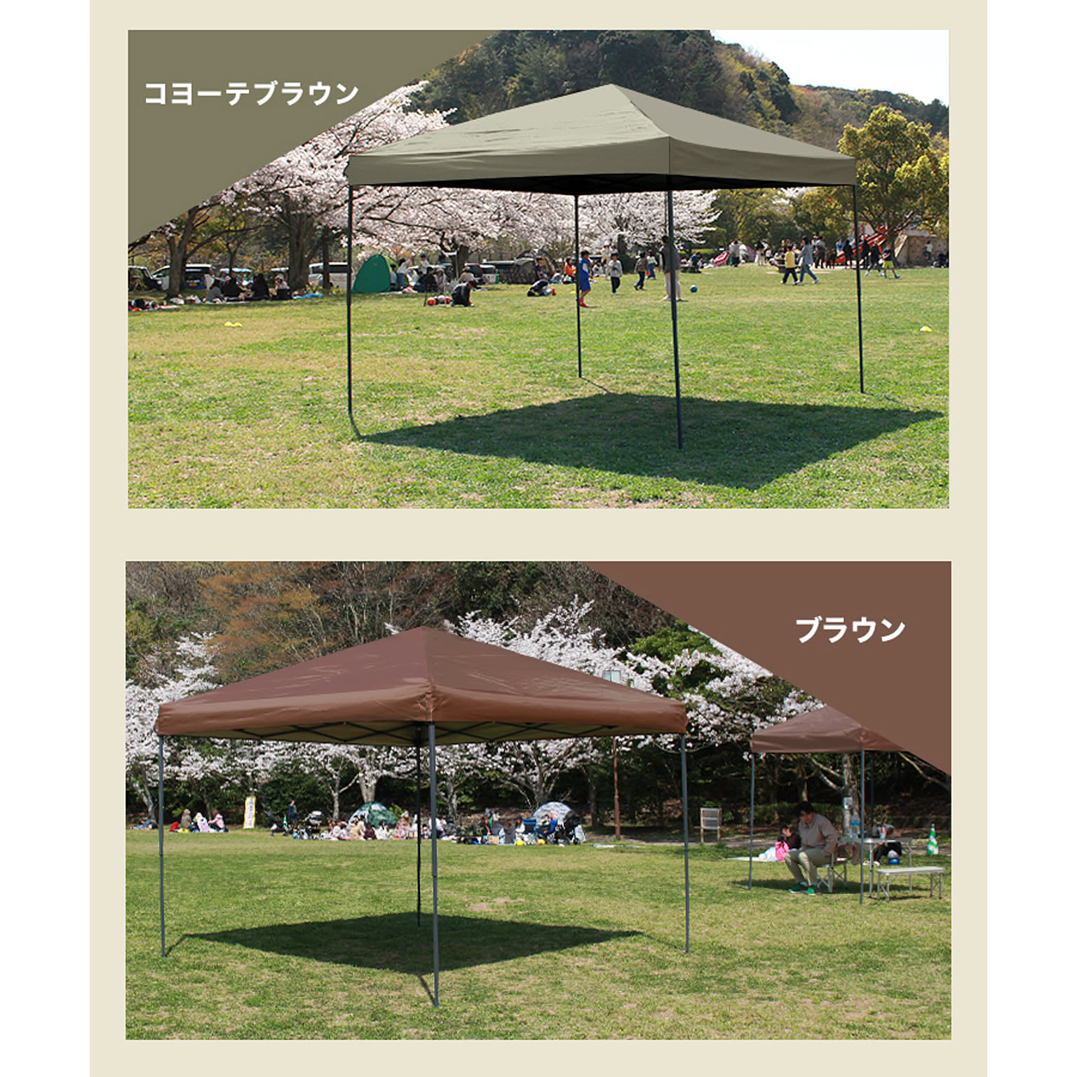 テント