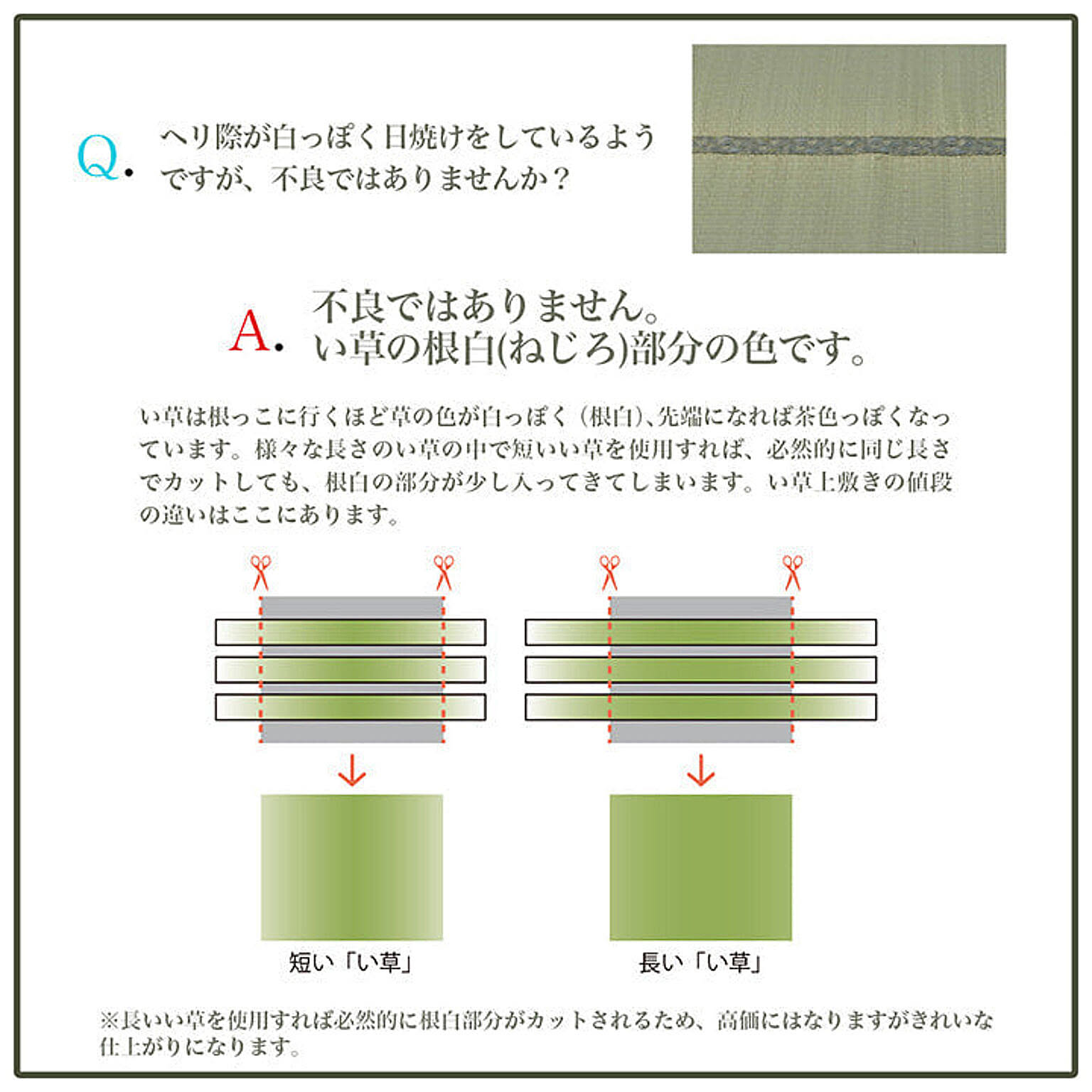 ござ・い草ラグ