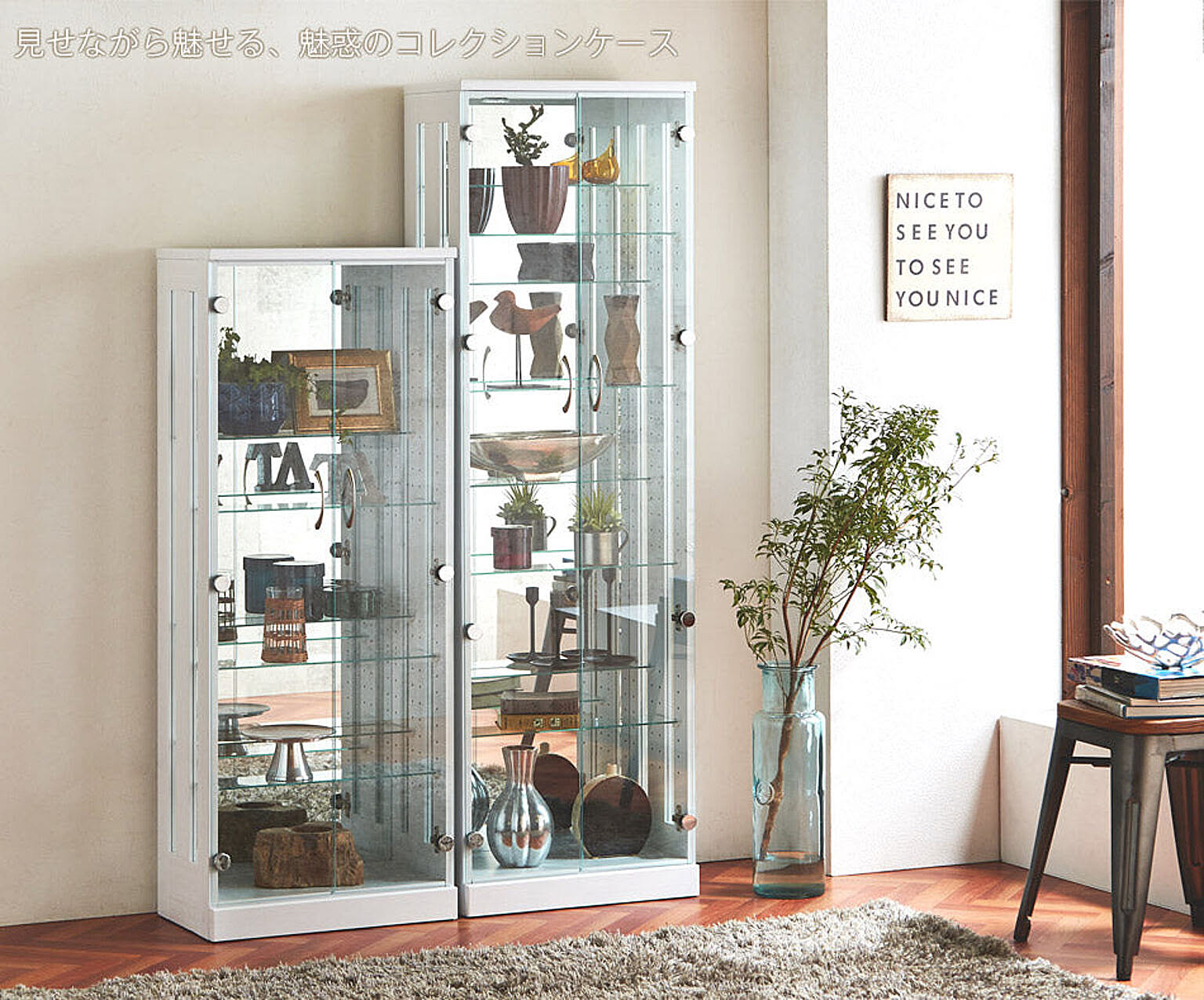 コレクションケース