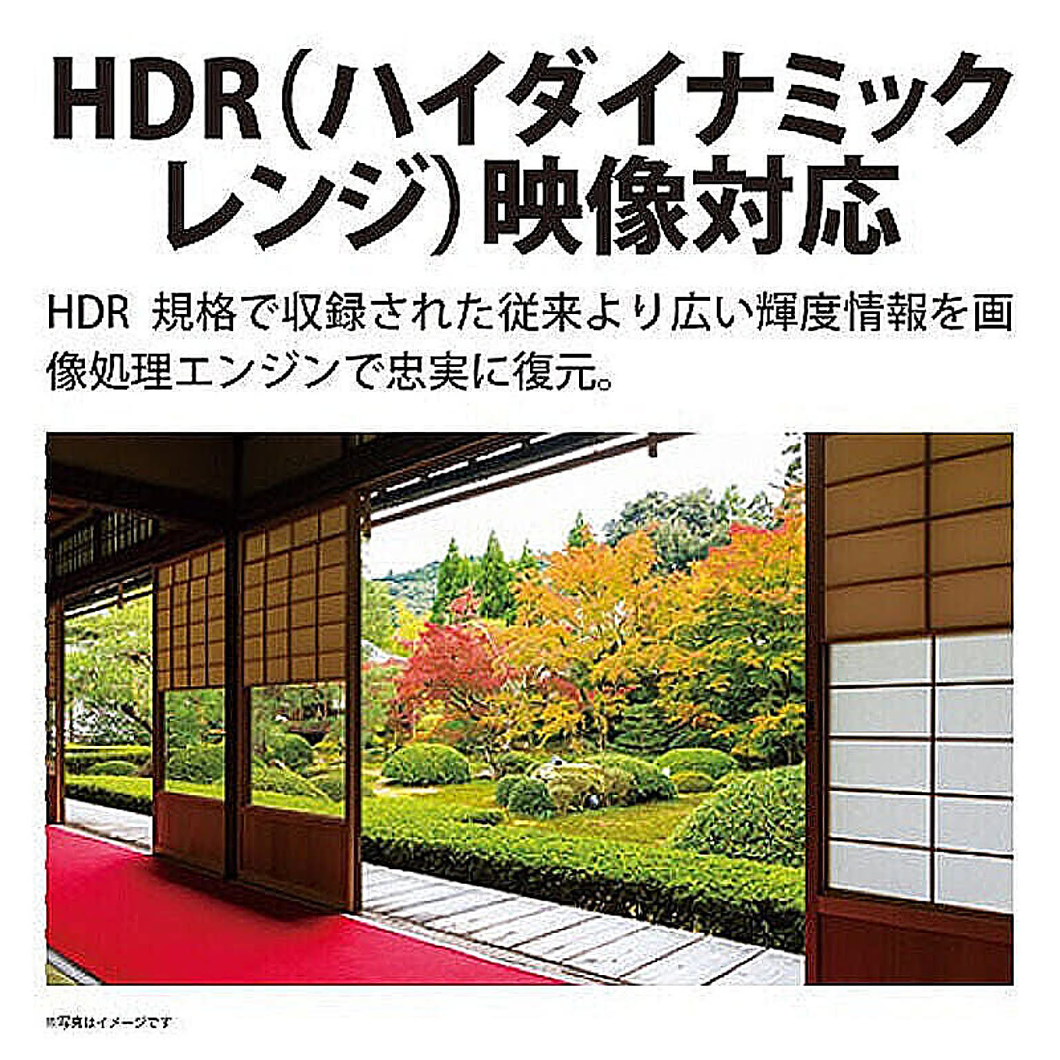 液晶テレビ