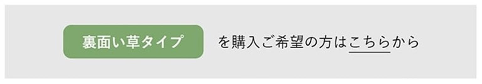 ござ・い草ラグ