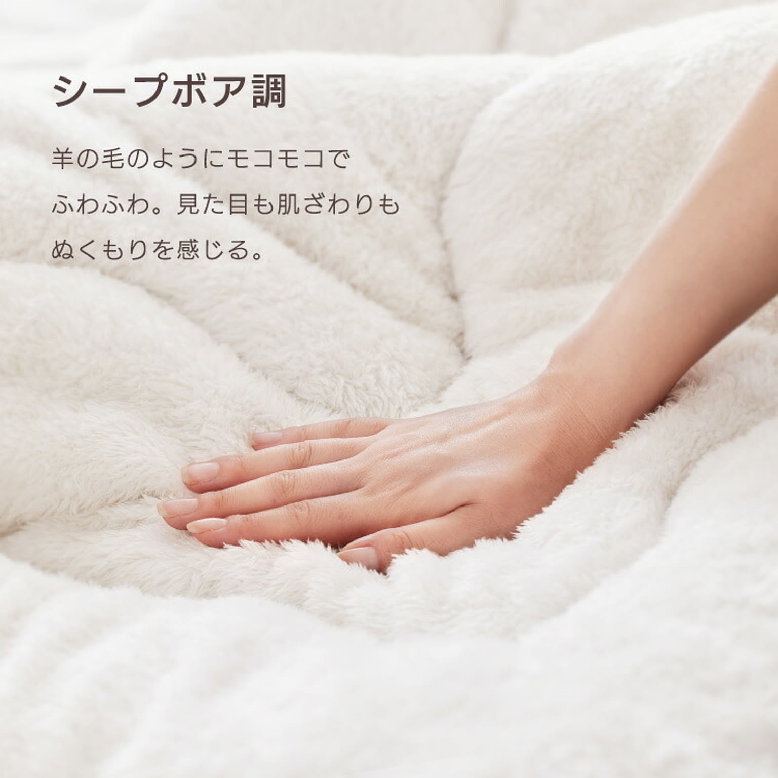 こたつ布団