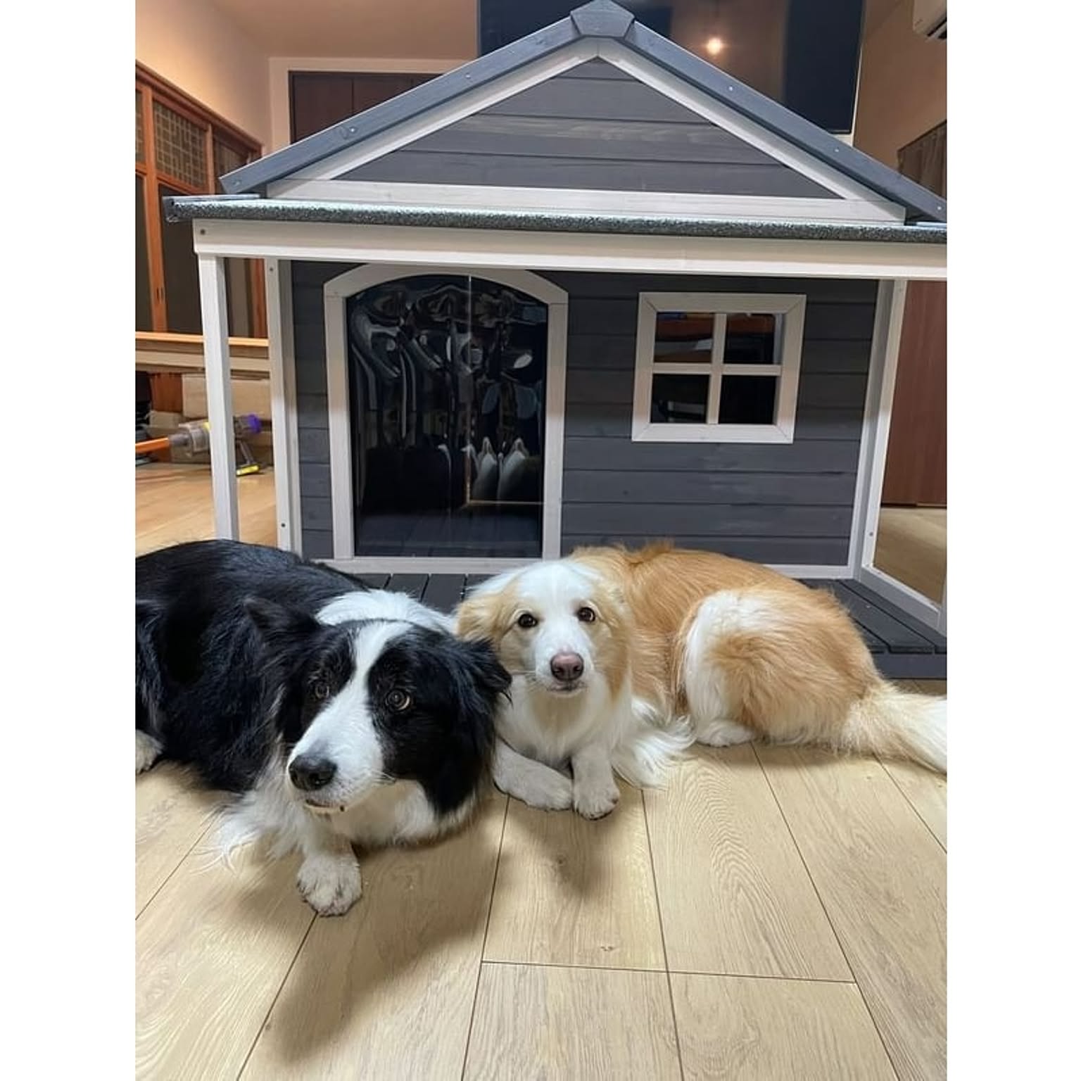 犬用インテリア・犬用家具