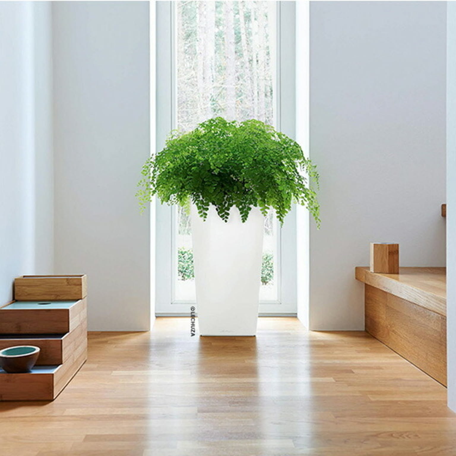 プランター・植木鉢