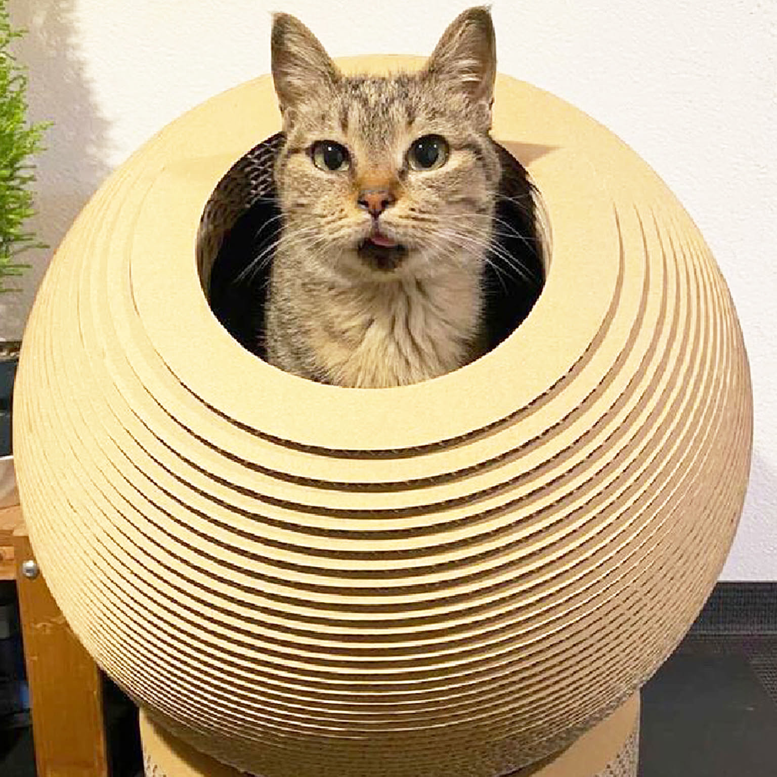 猫用インテリア・猫用家具