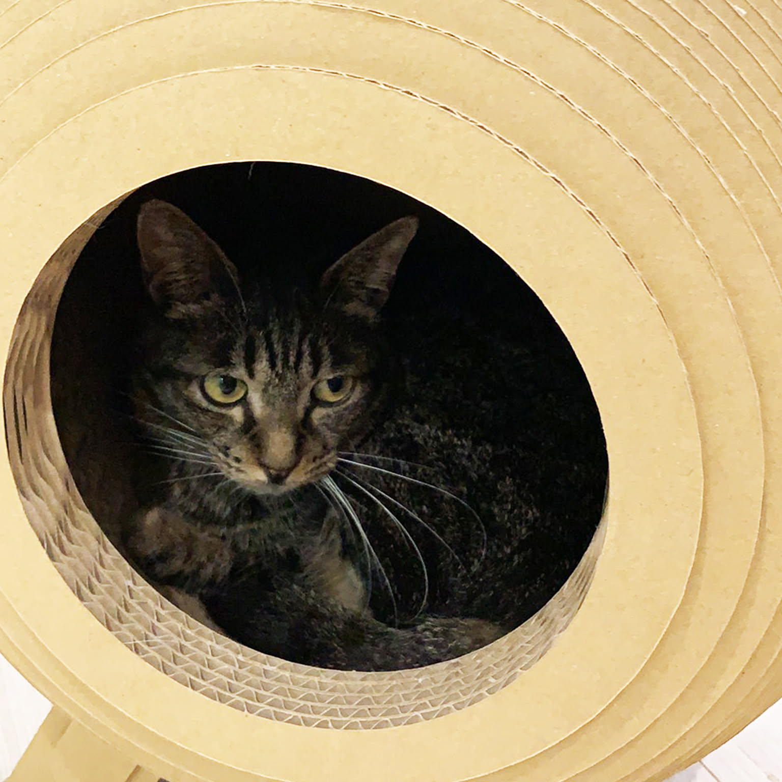 猫用インテリア・猫用家具
