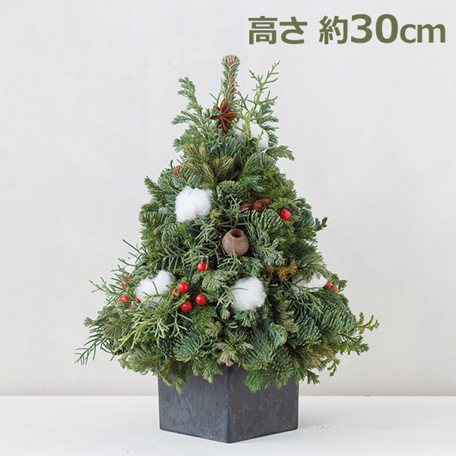 クリスマスグッズ