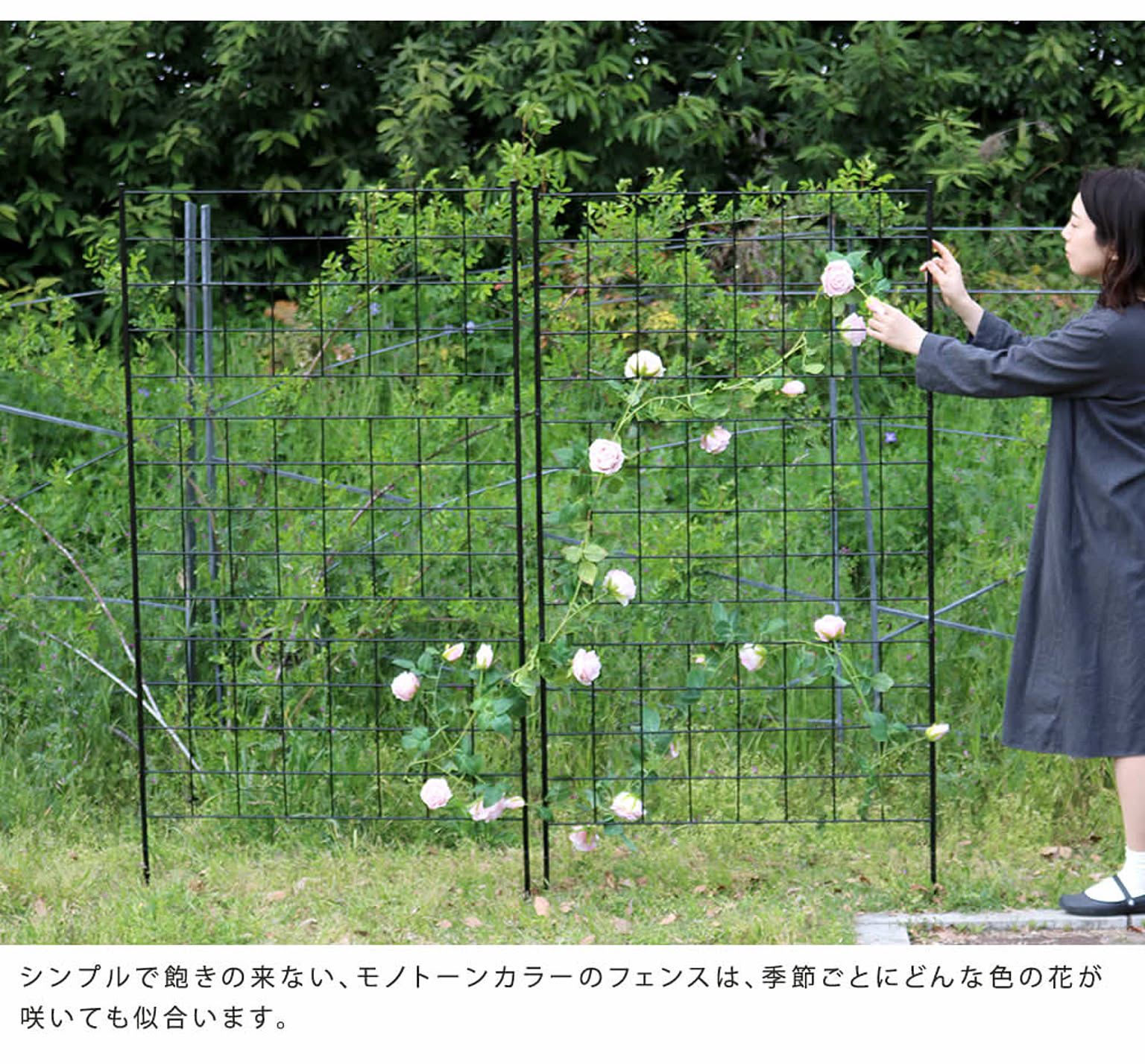 エクステリア