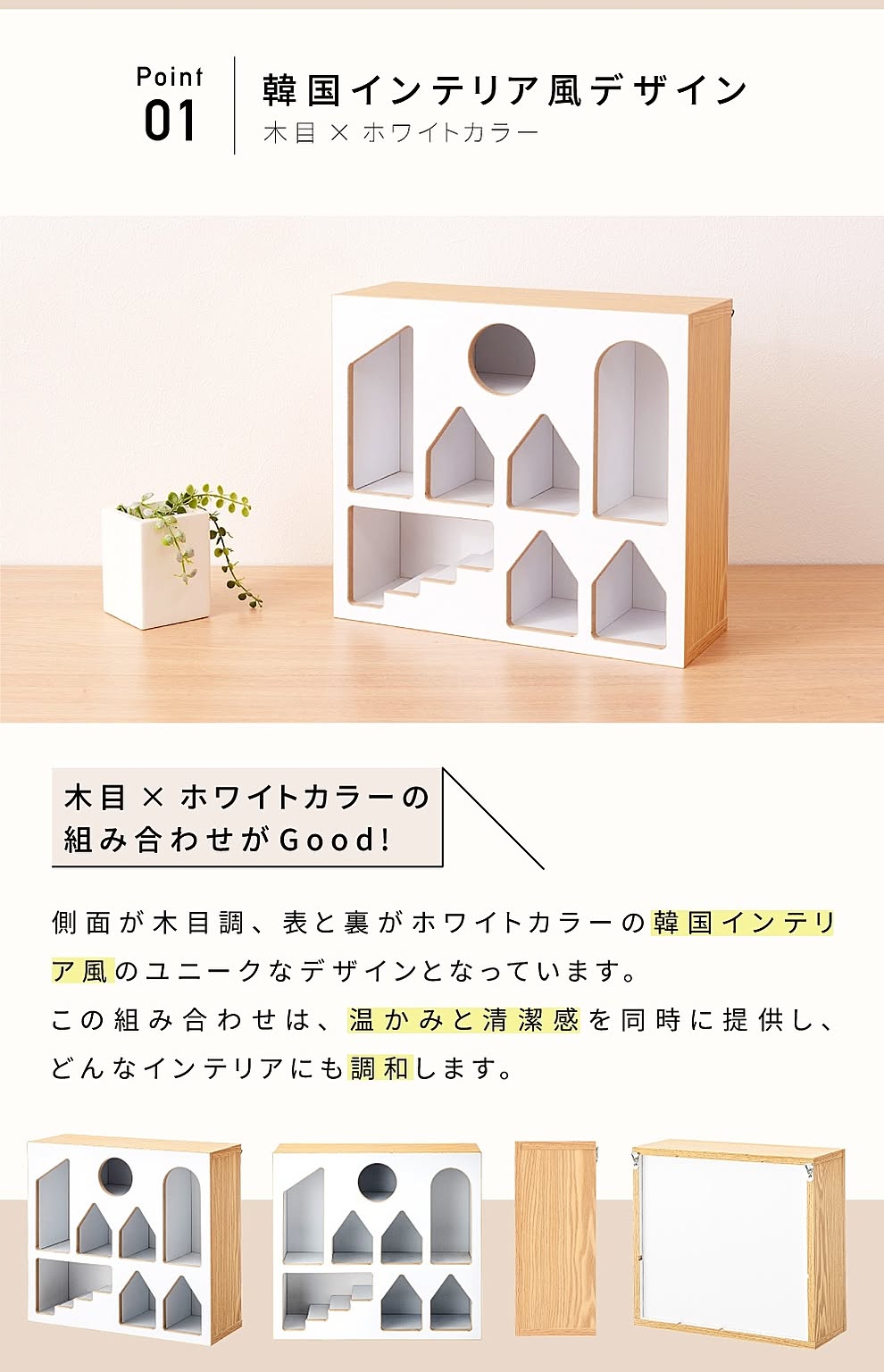 コレクションケース