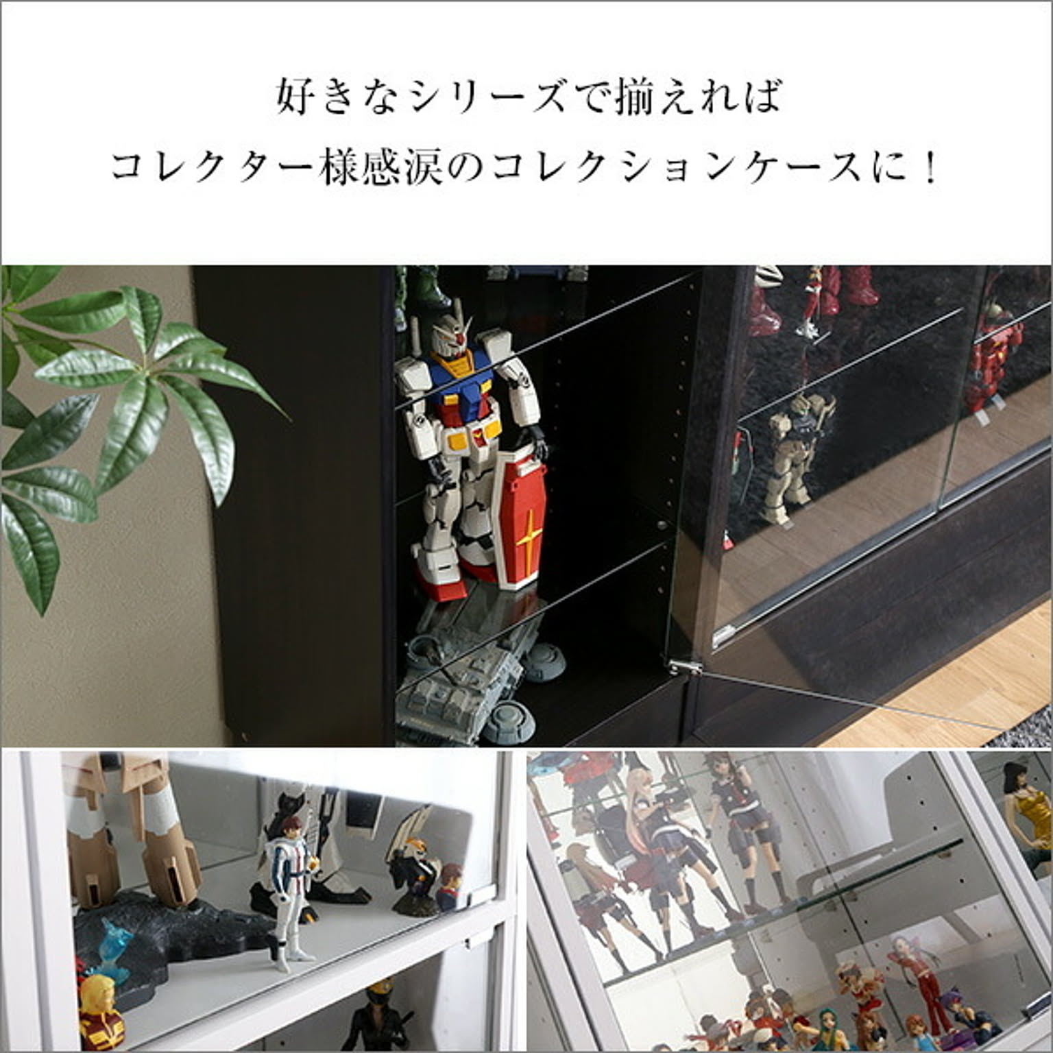 コレクションケース