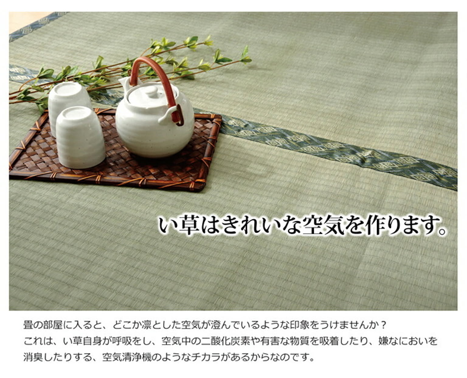 ござ・い草ラグ