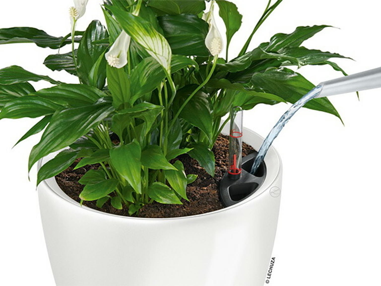 プランター・植木鉢