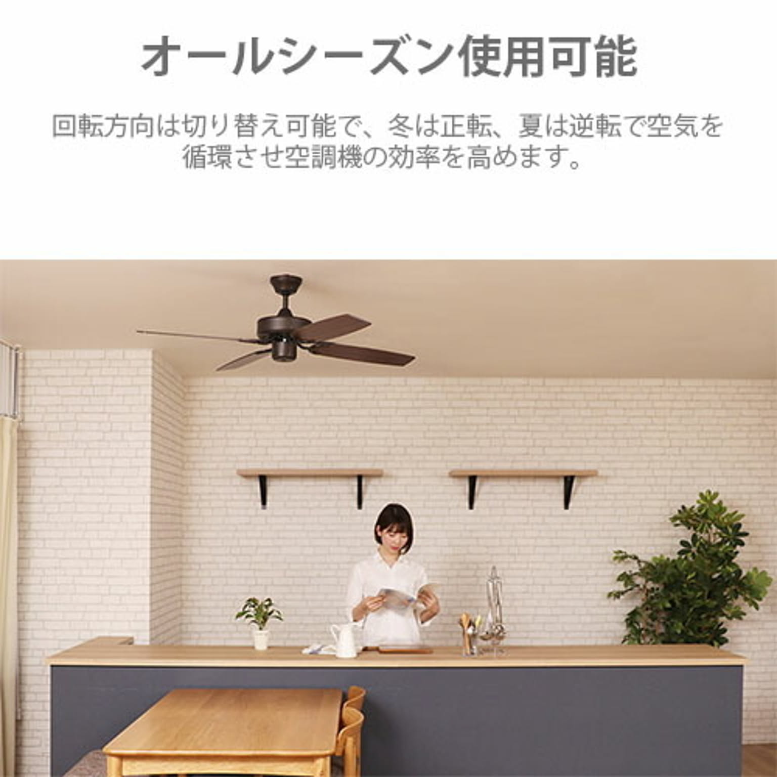 シーリングファンライト