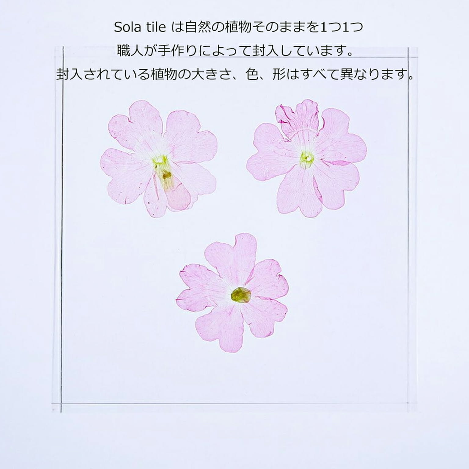 置物・オブジェ