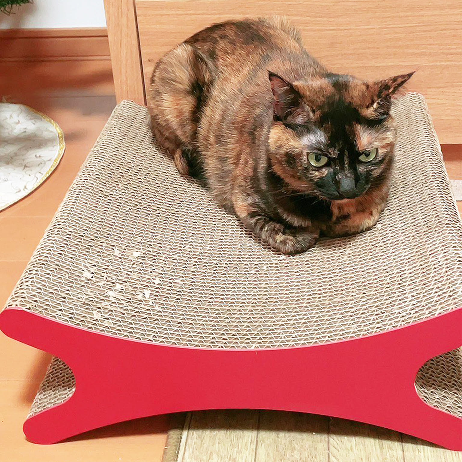 猫用インテリア・猫用家具