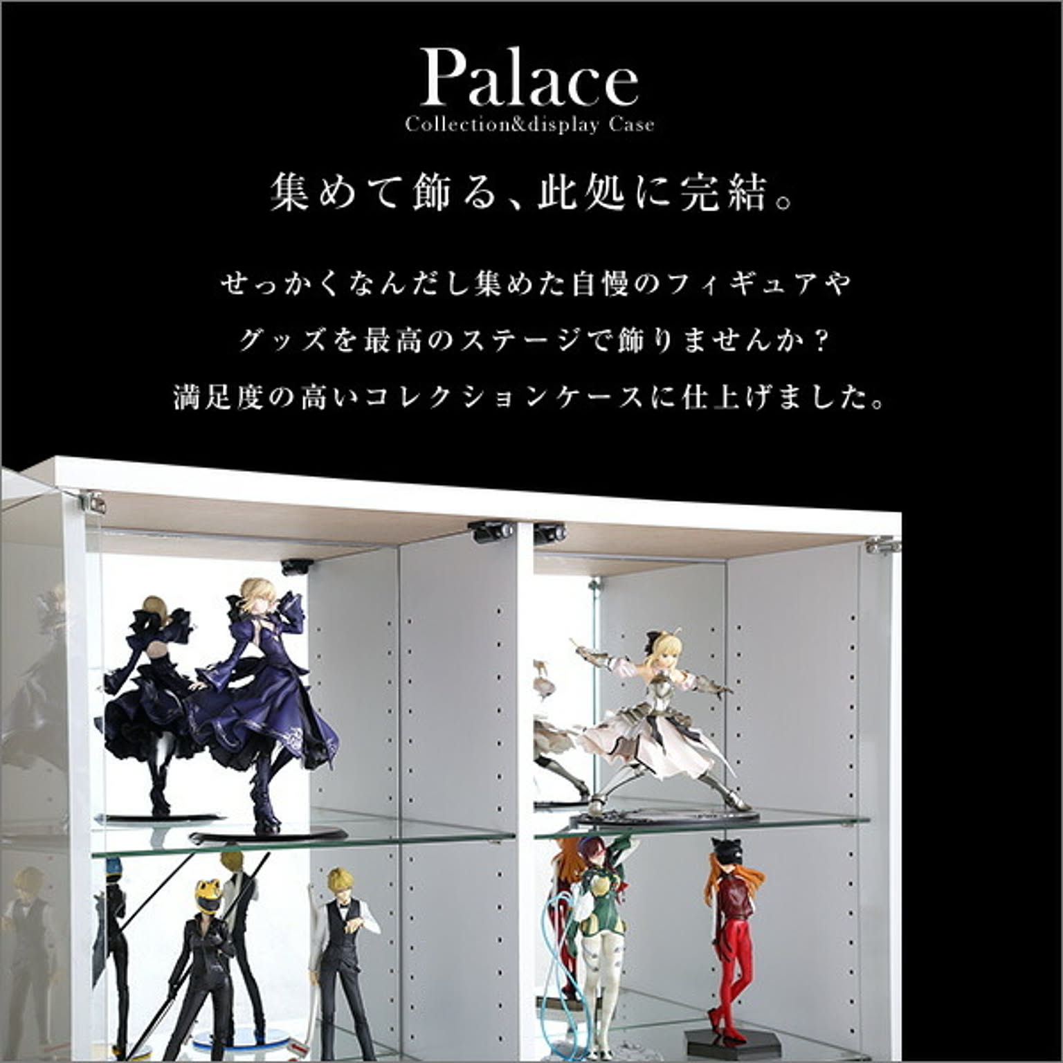 コレクションケース