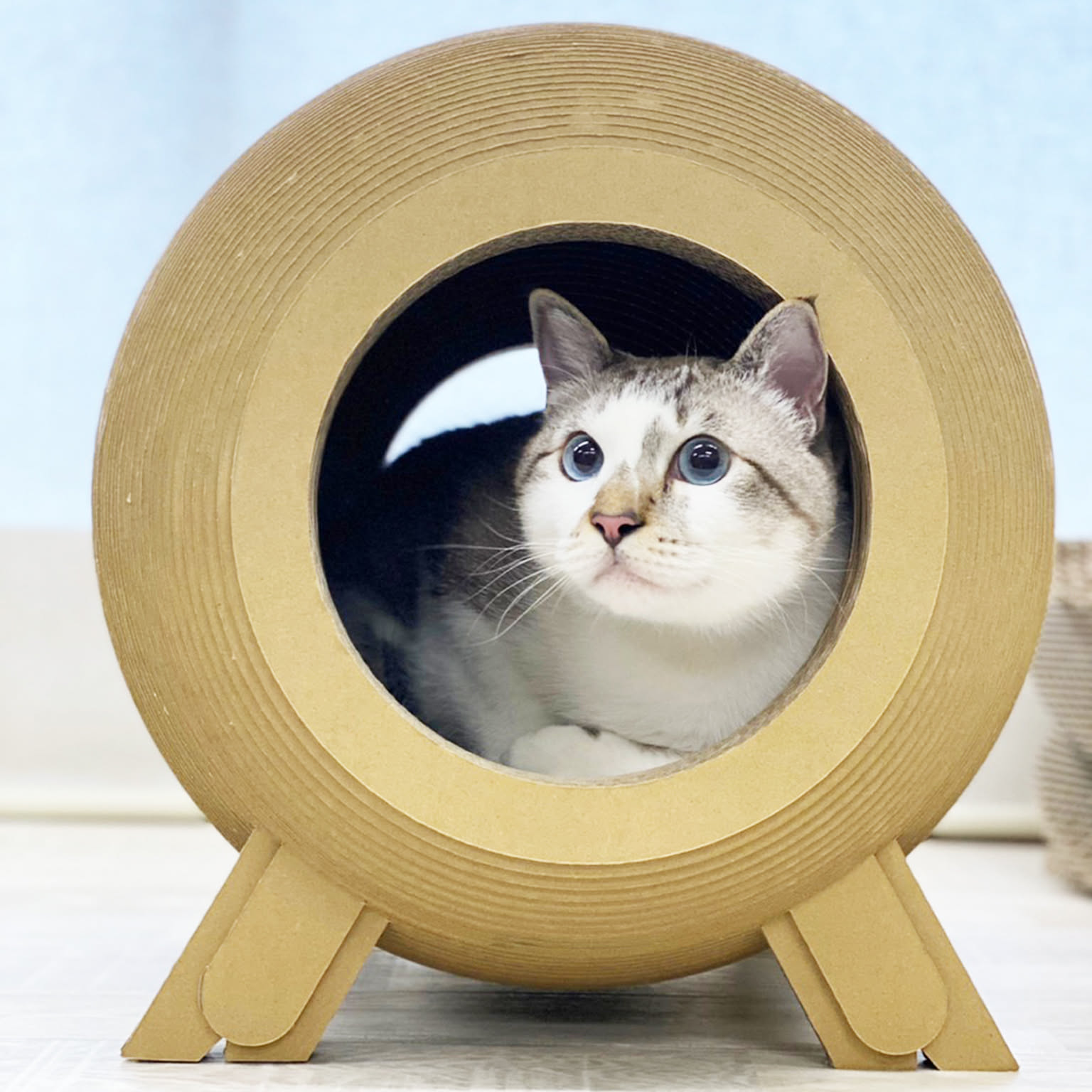 猫用インテリア・猫用家具