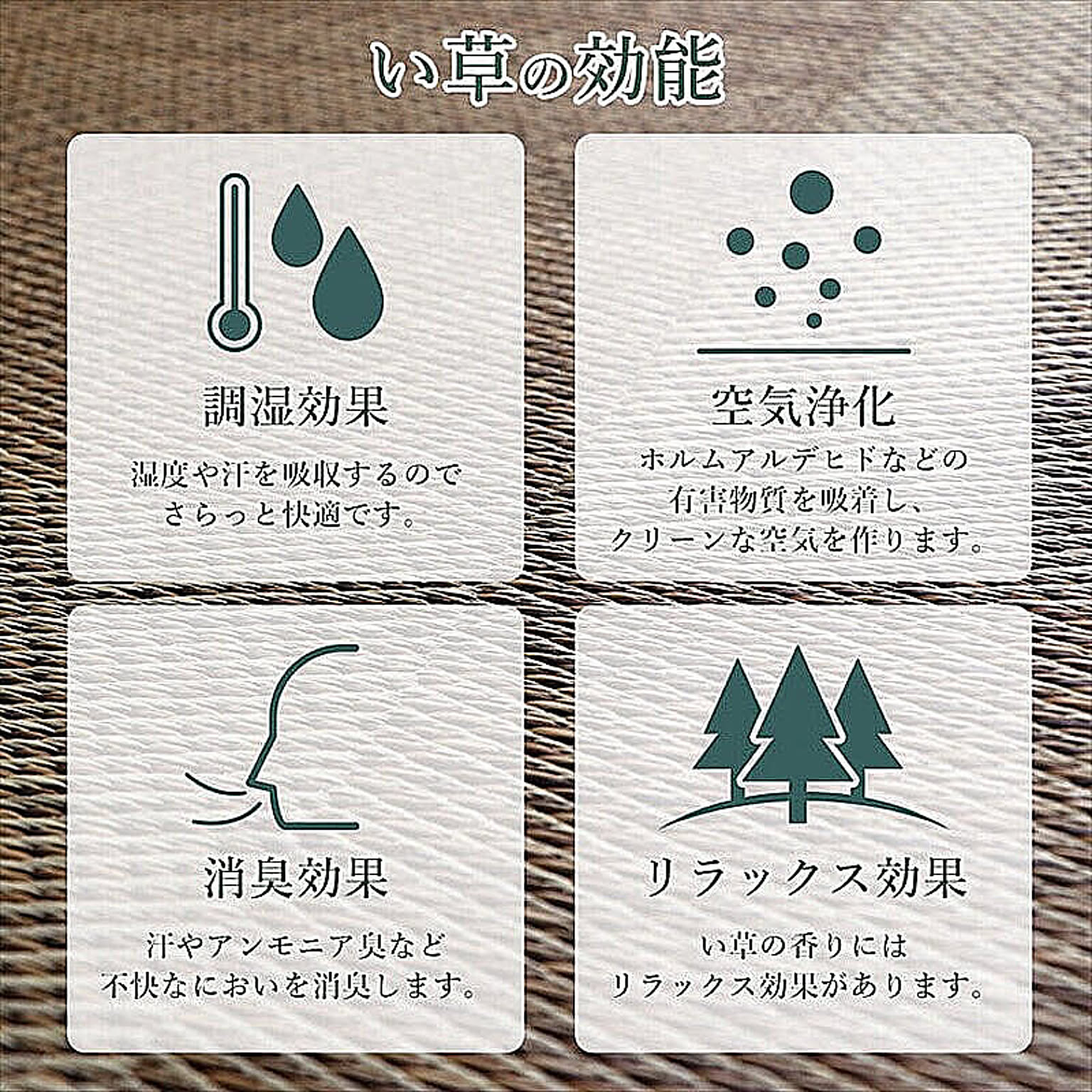 ござ・い草ラグ