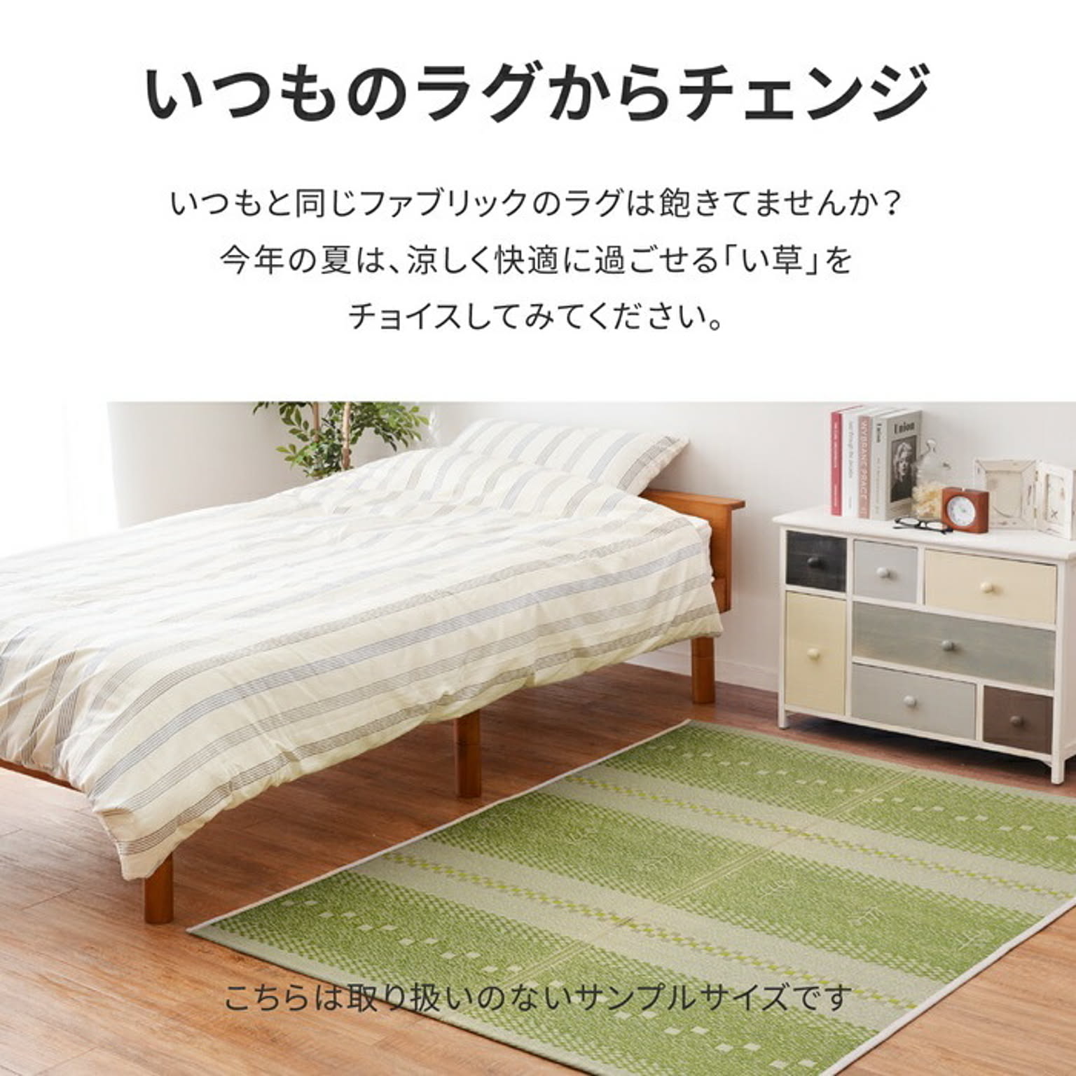 ござ・い草ラグ