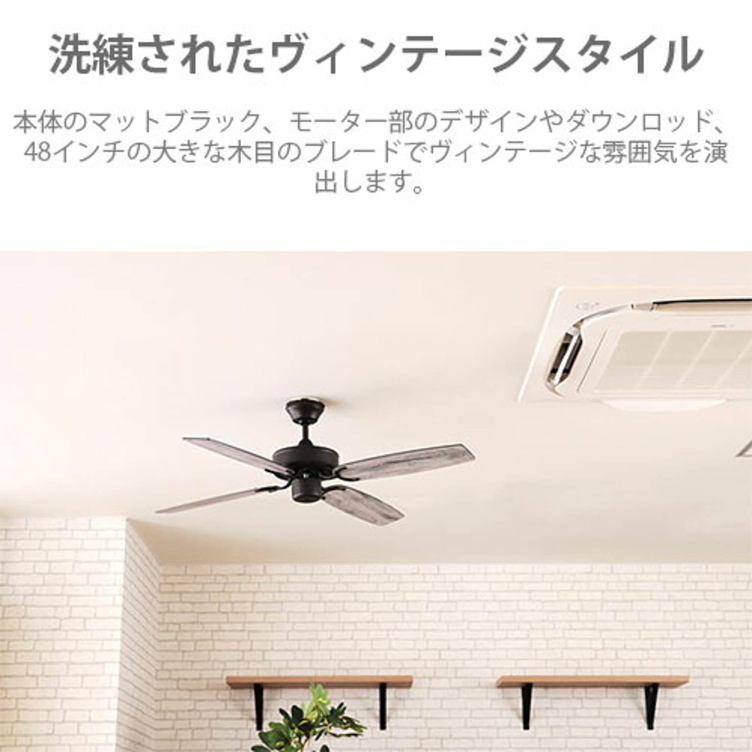 シーリングファンライト
