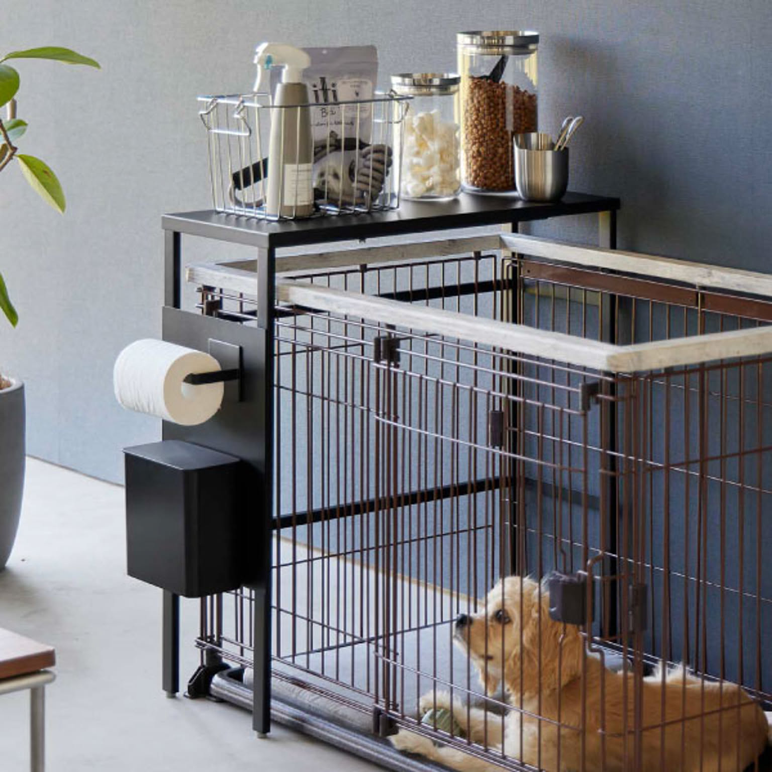 犬用インテリア・犬用家具